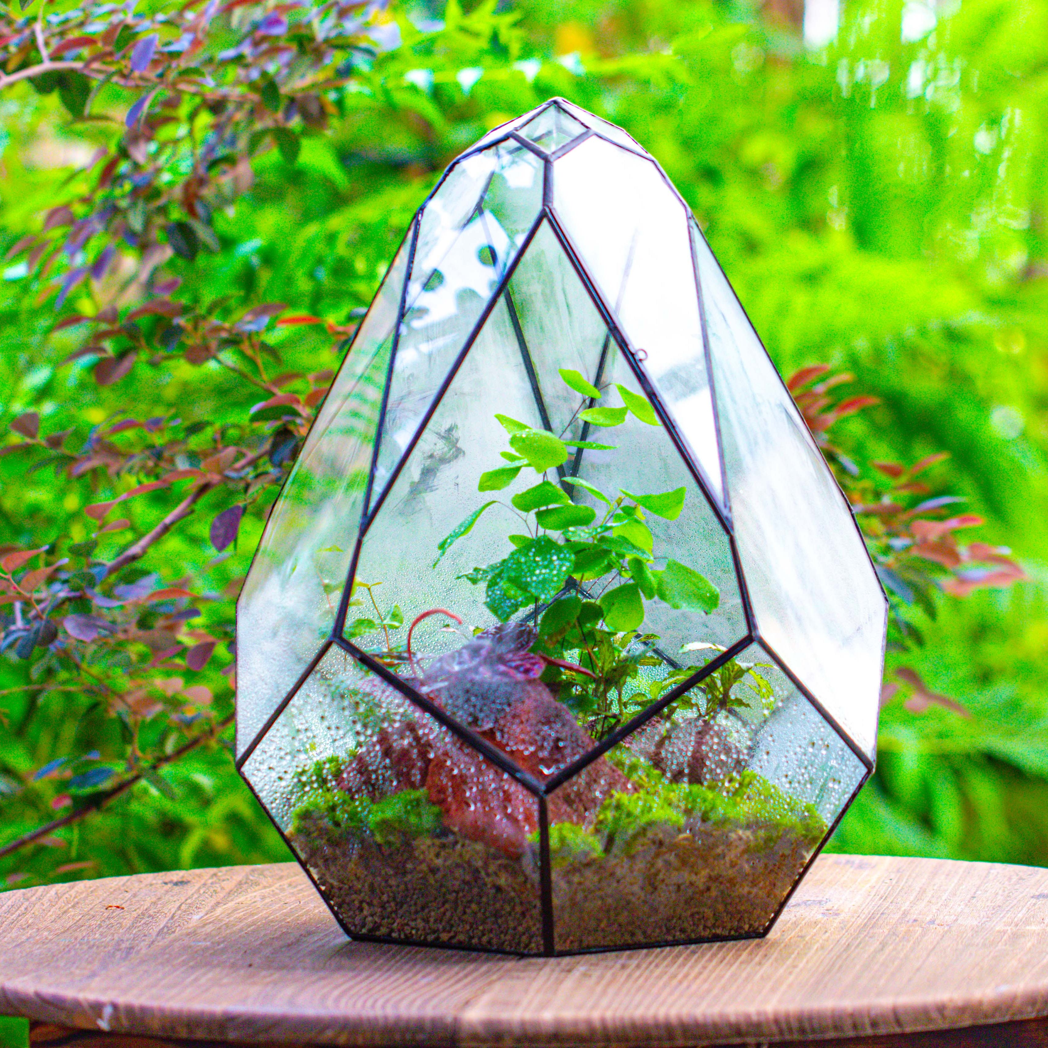 16" Large Teardrop Geometric Terrarium, close - NCYPgarden