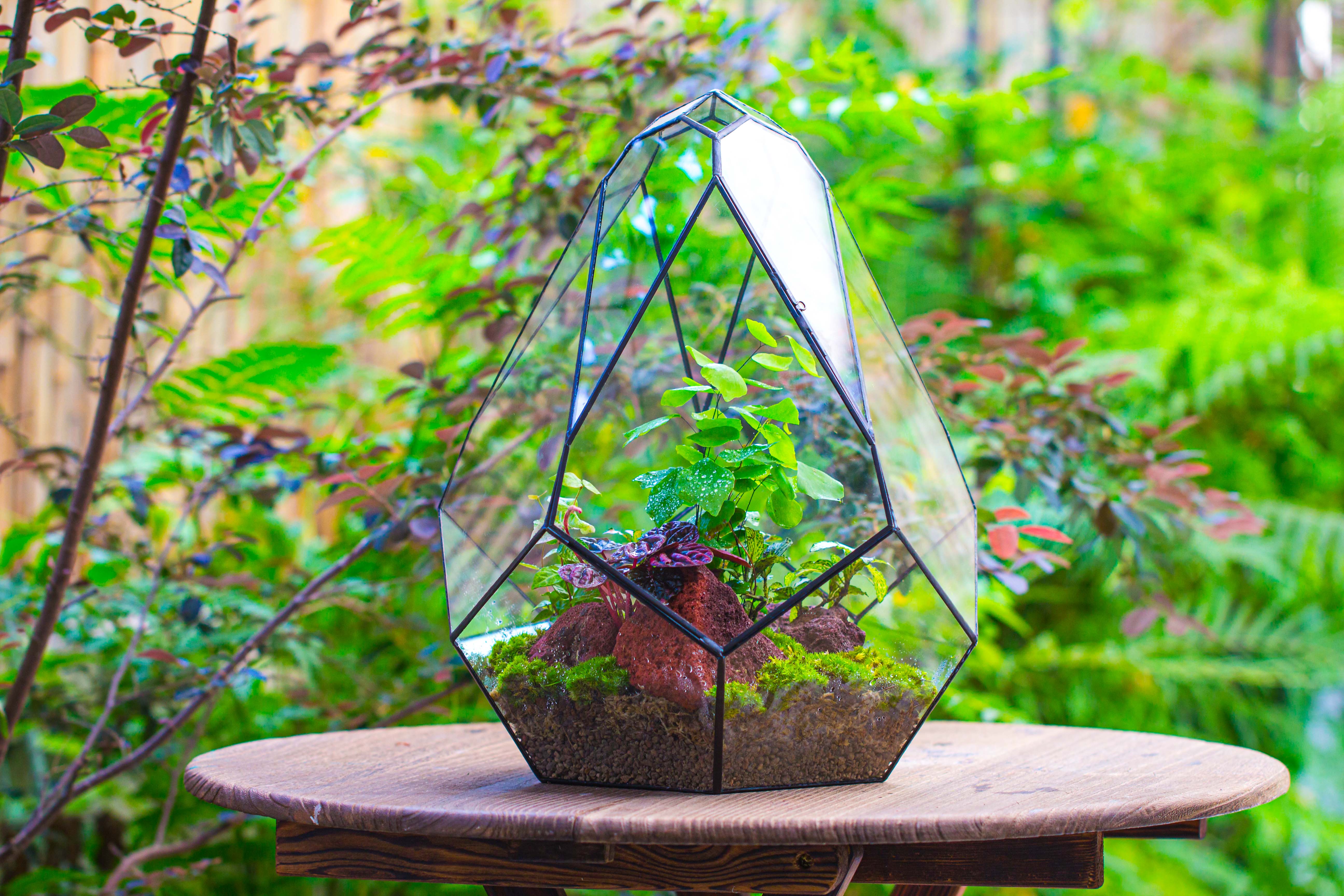 16" Large Teardrop Geometric Terrarium, close - NCYPgarden