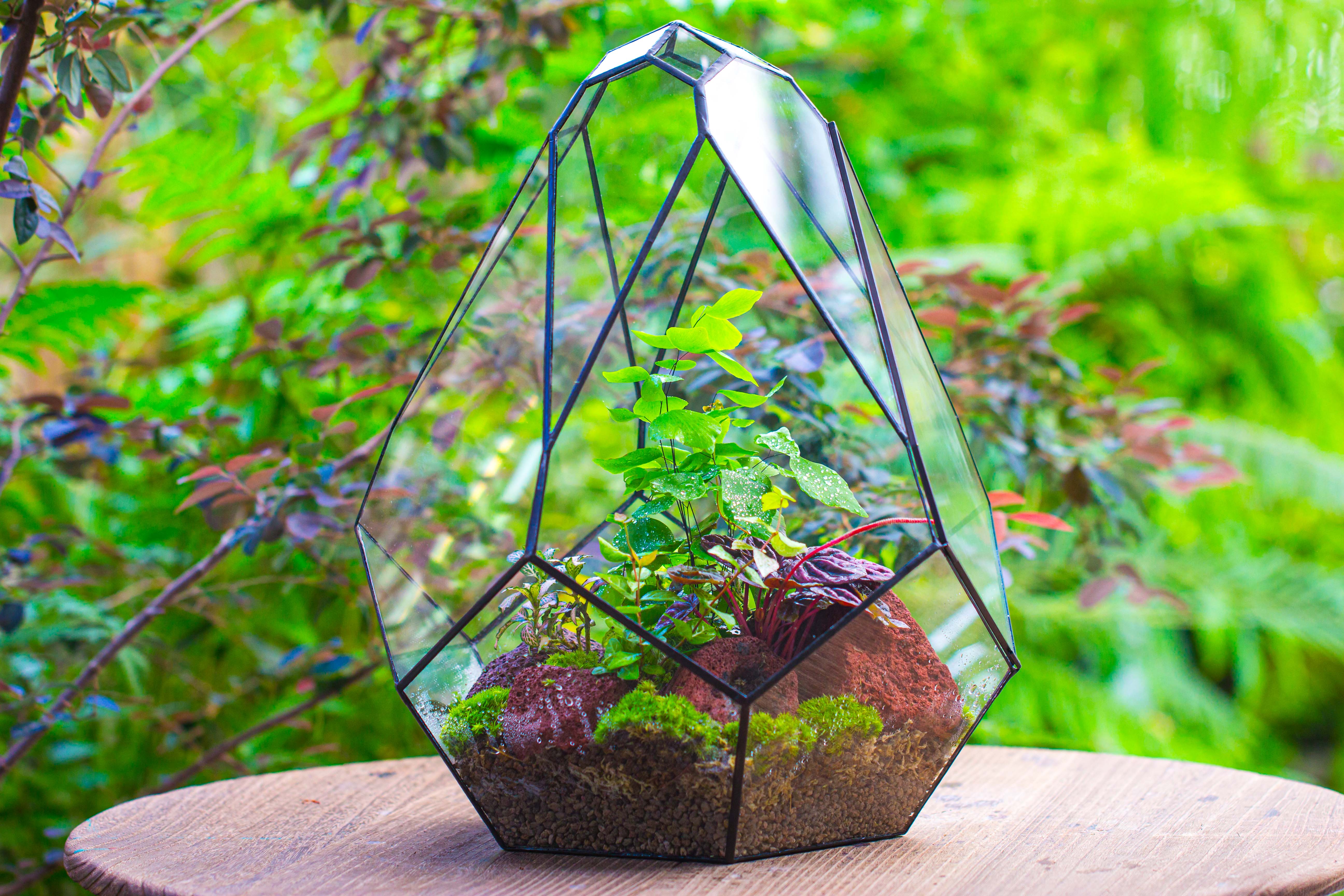 16" Large Teardrop Geometric Terrarium, close - NCYPgarden