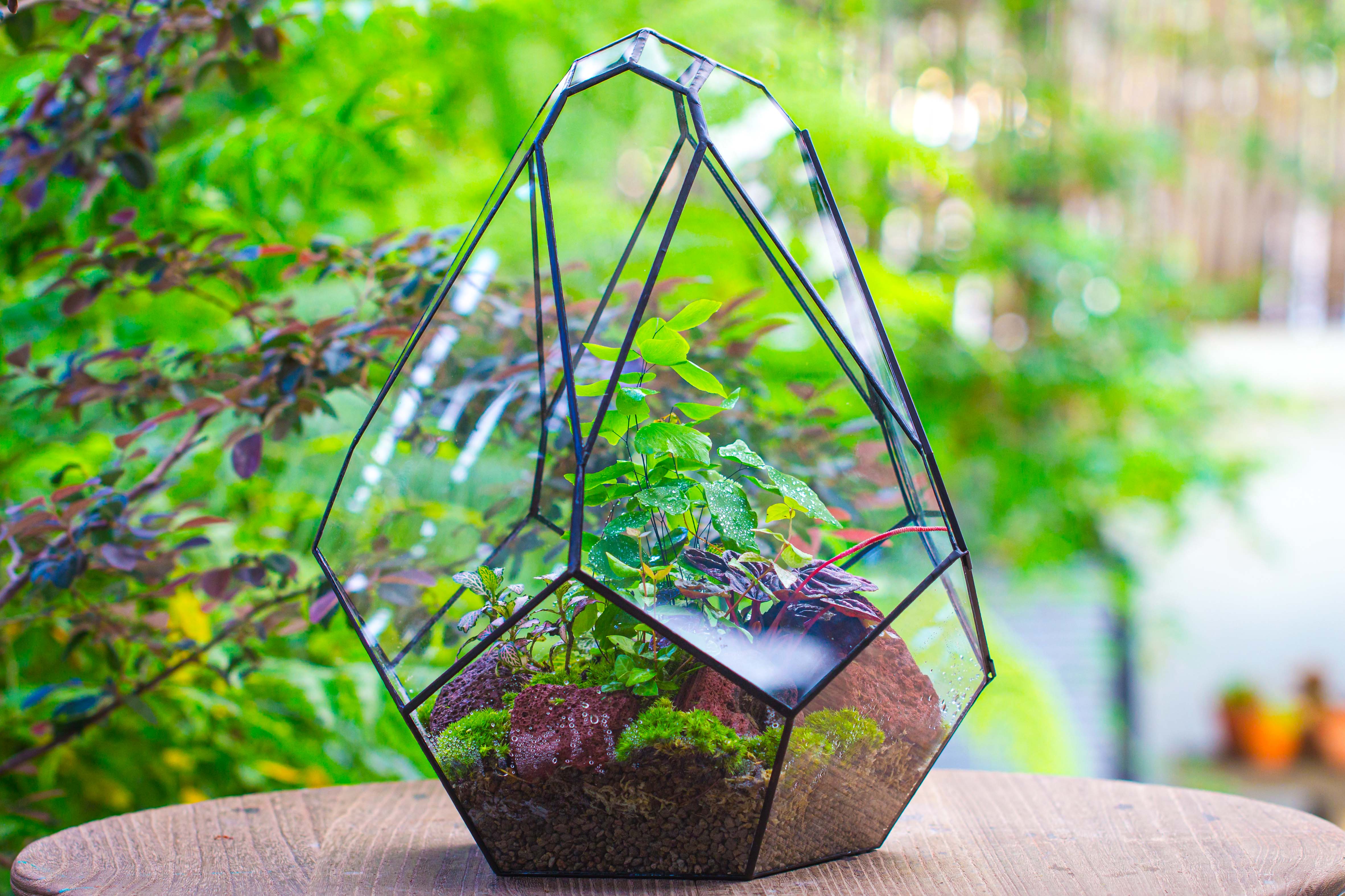 16" Large Teardrop Geometric Terrarium, close - NCYPgarden