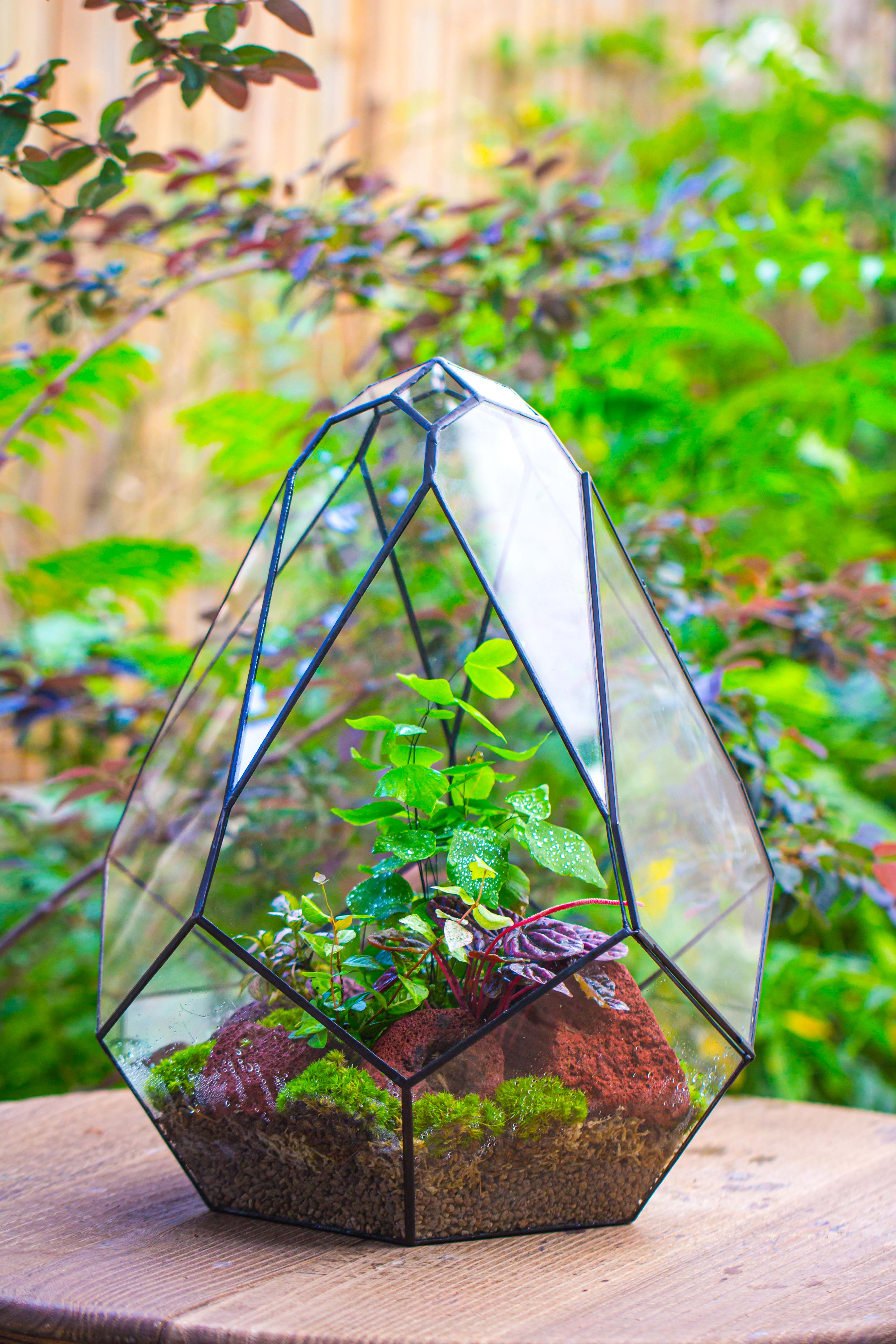16" Large Teardrop Geometric Terrarium, close - NCYPgarden
