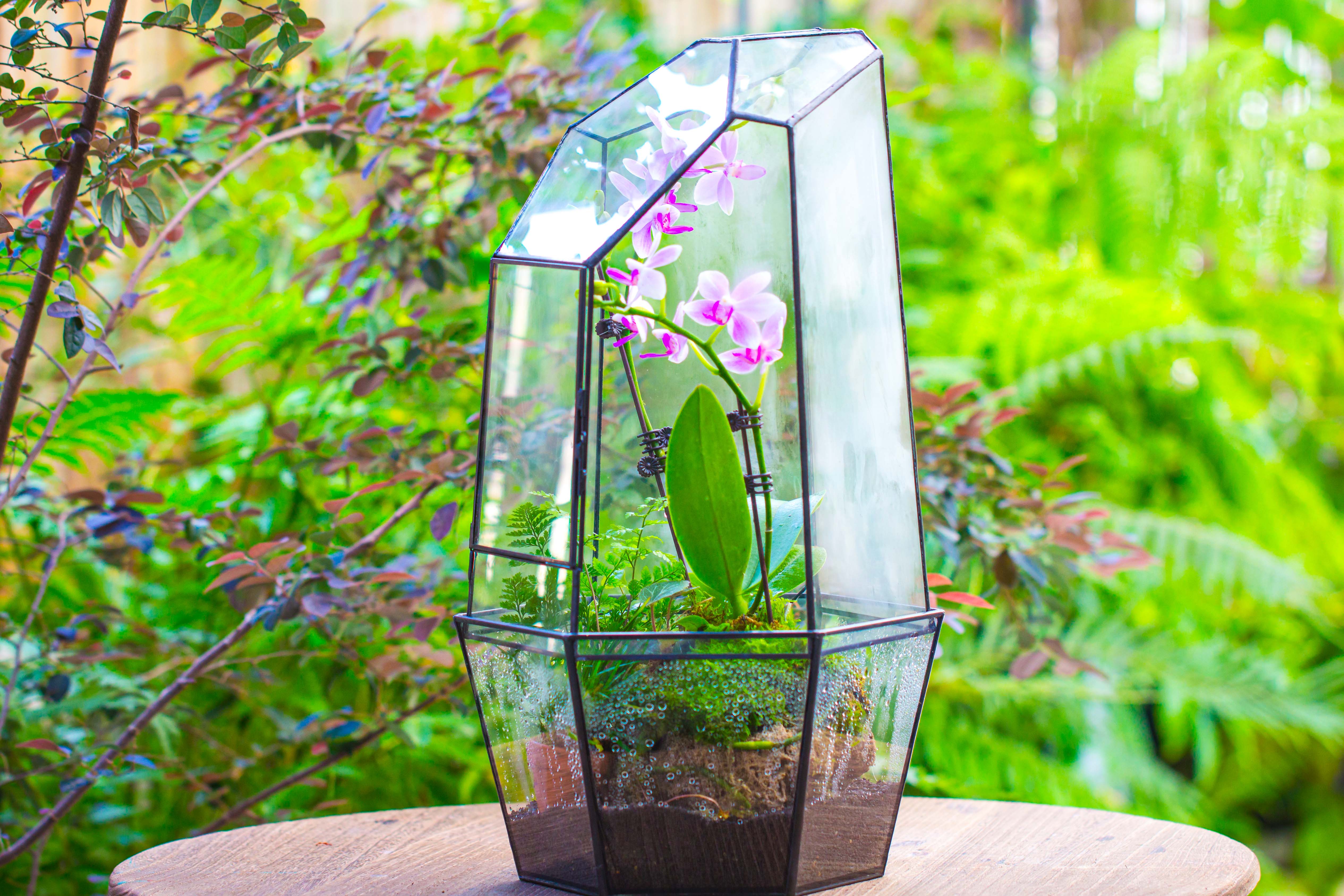 Large 2-Part 18.9" tall Close Glass Terrarium for orchid, fern, moss, Watertight - NCYPgarden