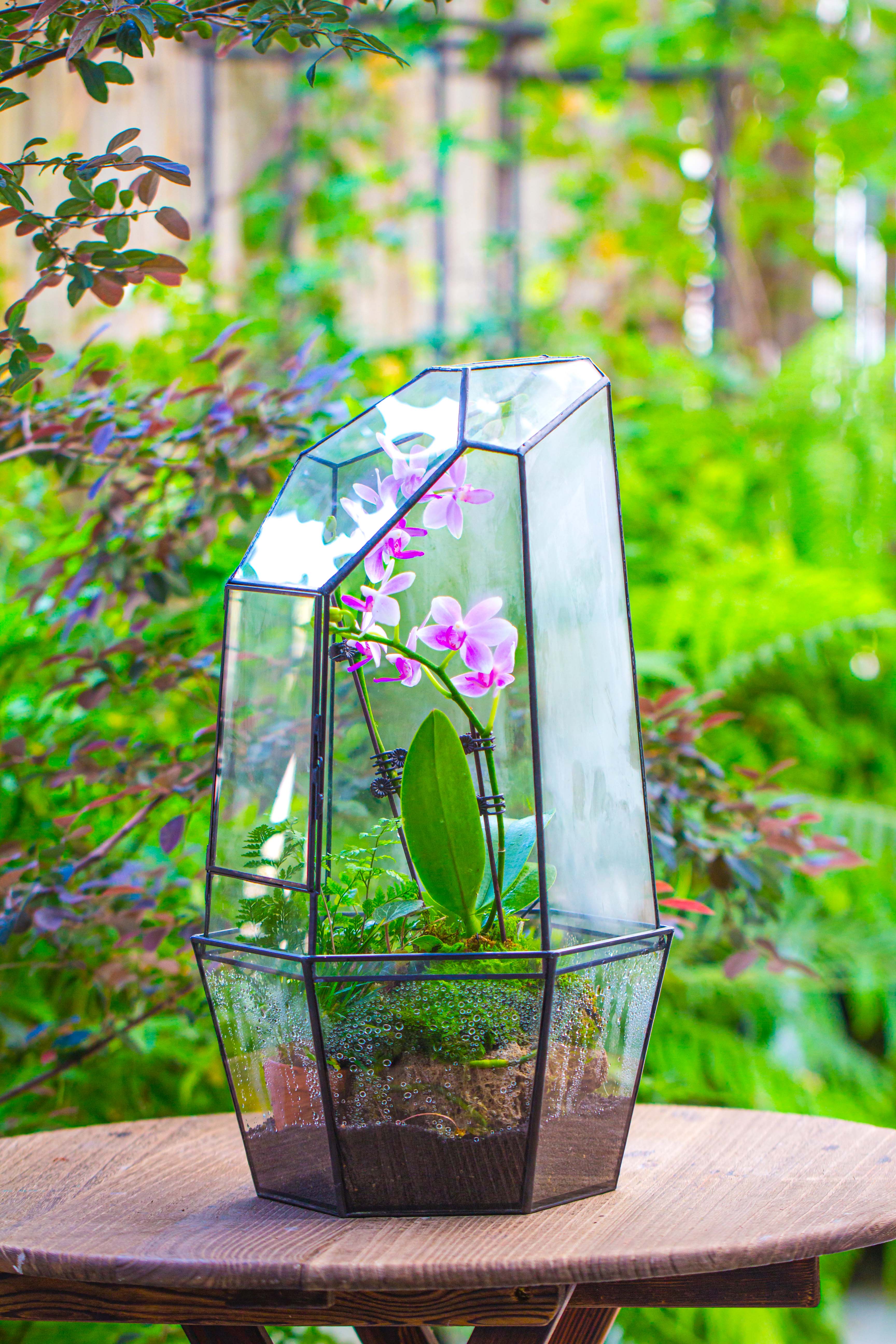 Large 2-Part 18.9" tall Close Glass Terrarium for orchid, fern, moss, Watertight - NCYPgarden