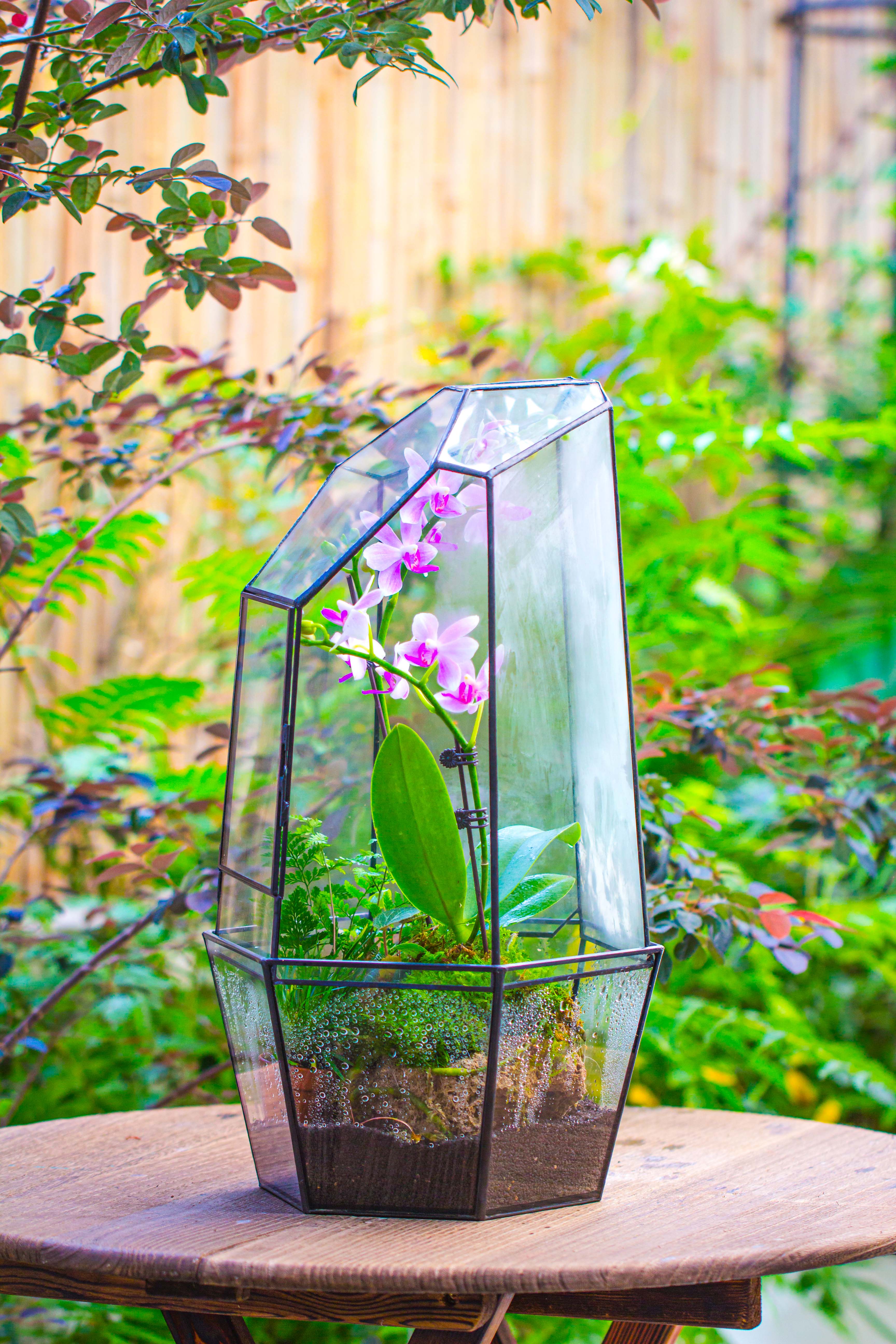 Large 2-Part 18.9" tall Close Glass Terrarium for orchid, fern, moss, Watertight - NCYPgarden