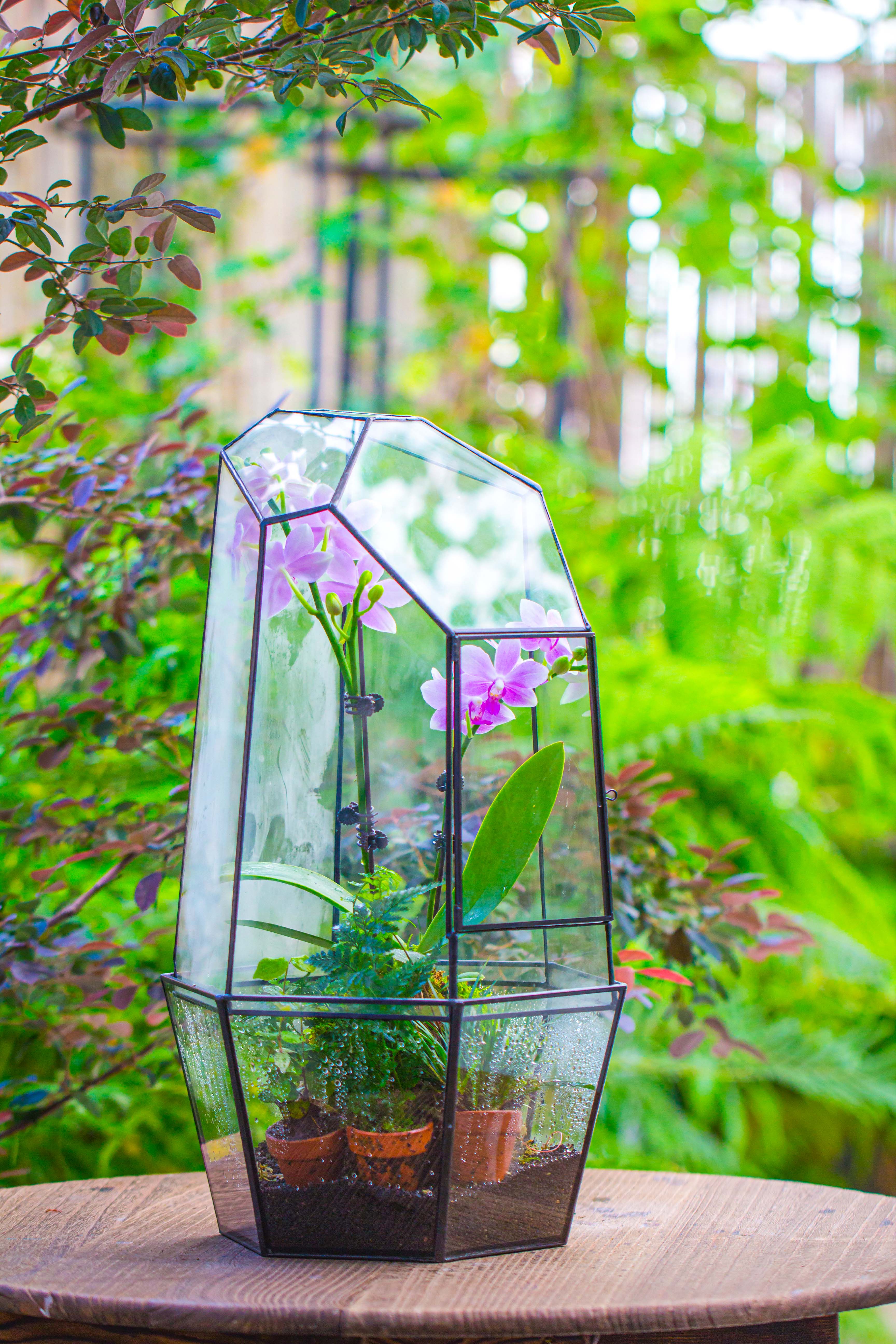 Large 2-Part 18.9" tall Close Glass Terrarium for orchid, fern, moss, Watertight - NCYPgarden