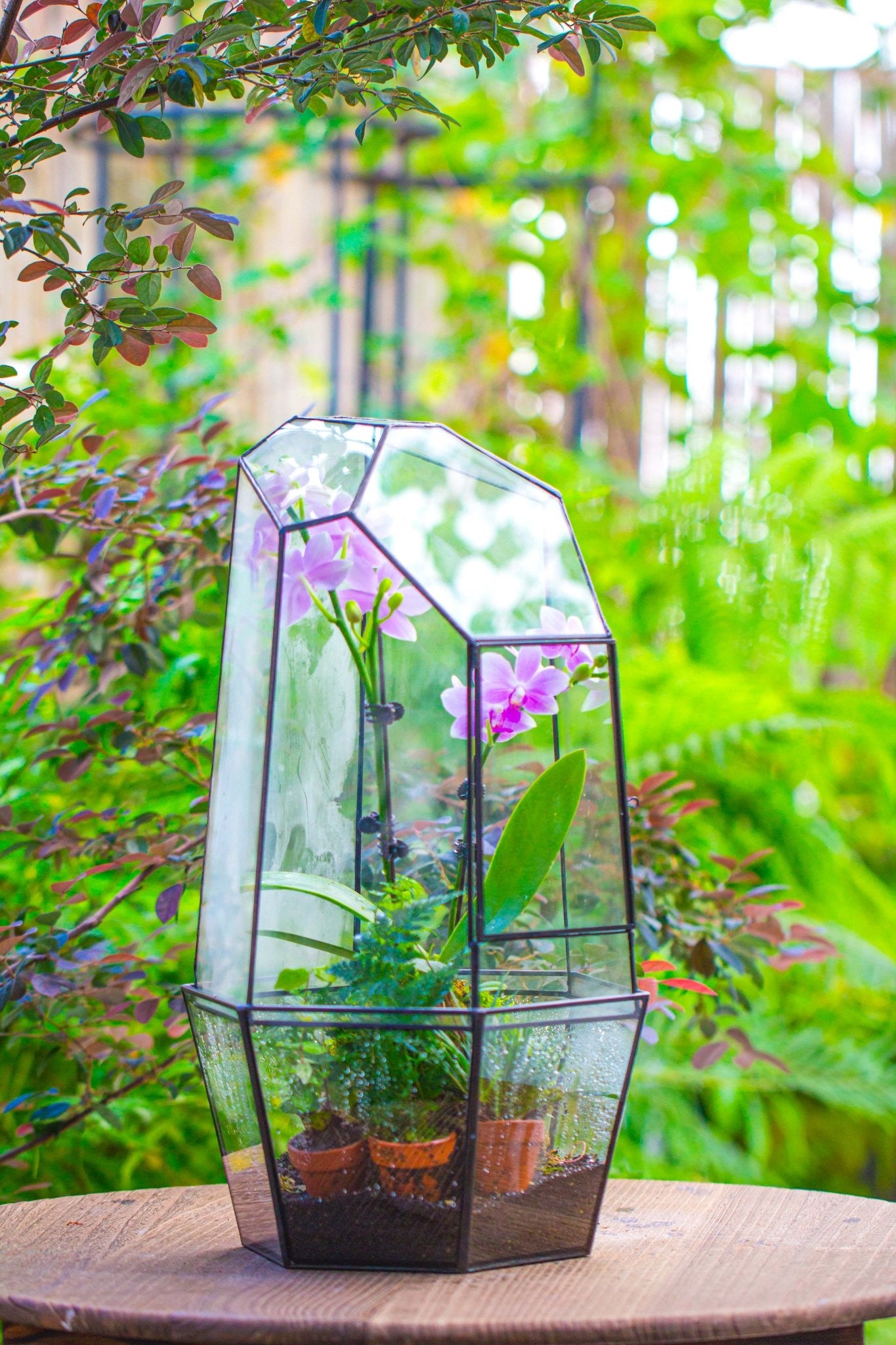 tall terrarium plants Large 2-Part 18.9" tall Close Glass Terrarium for orchid, fern, moss, Watertight, with top hole