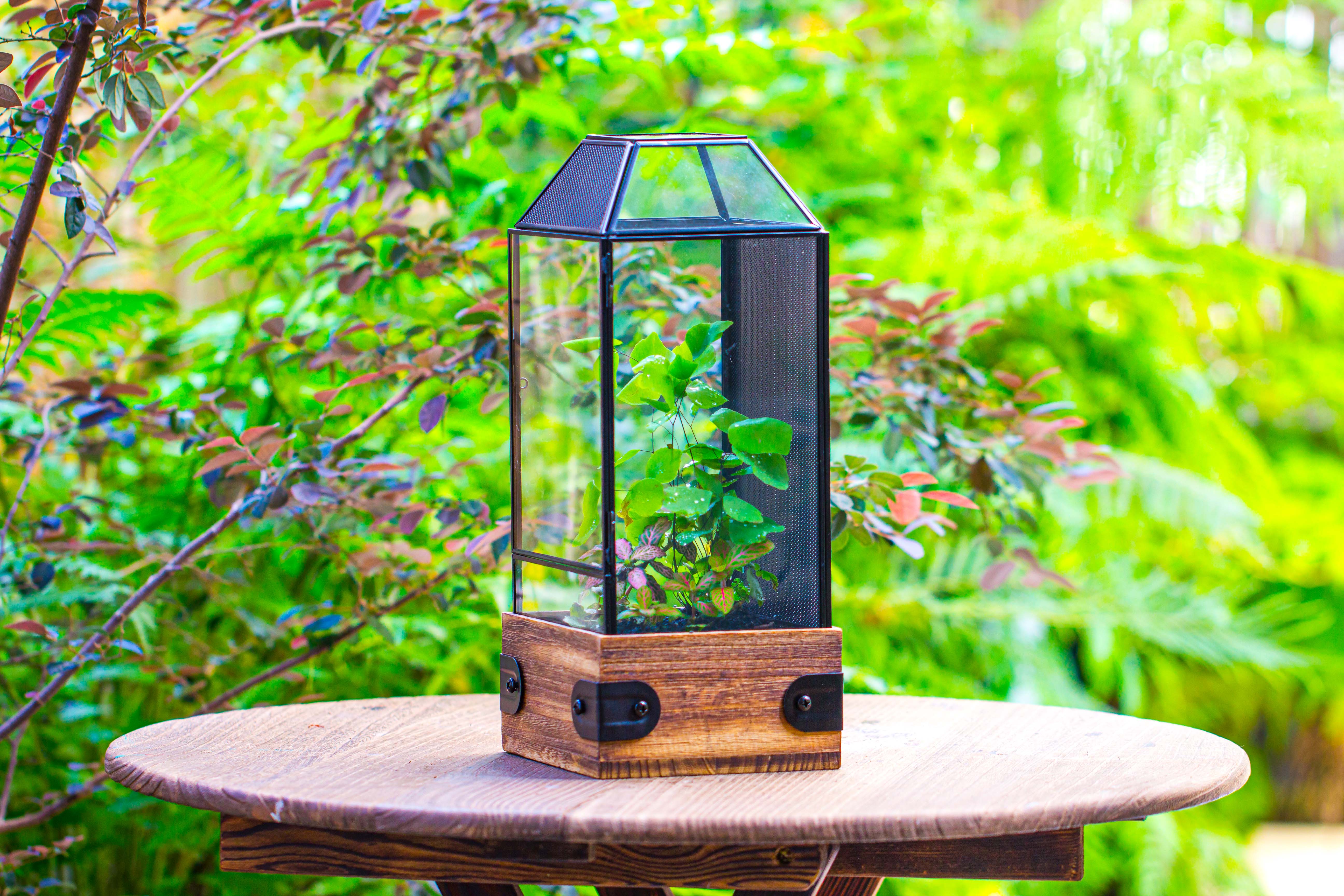 Handmade Glass Terrarium with Wood Base, Geometric Jumping Spider Enclosure, with Mesh Vent, for Plants, Snail, Insects - NCYPgarden