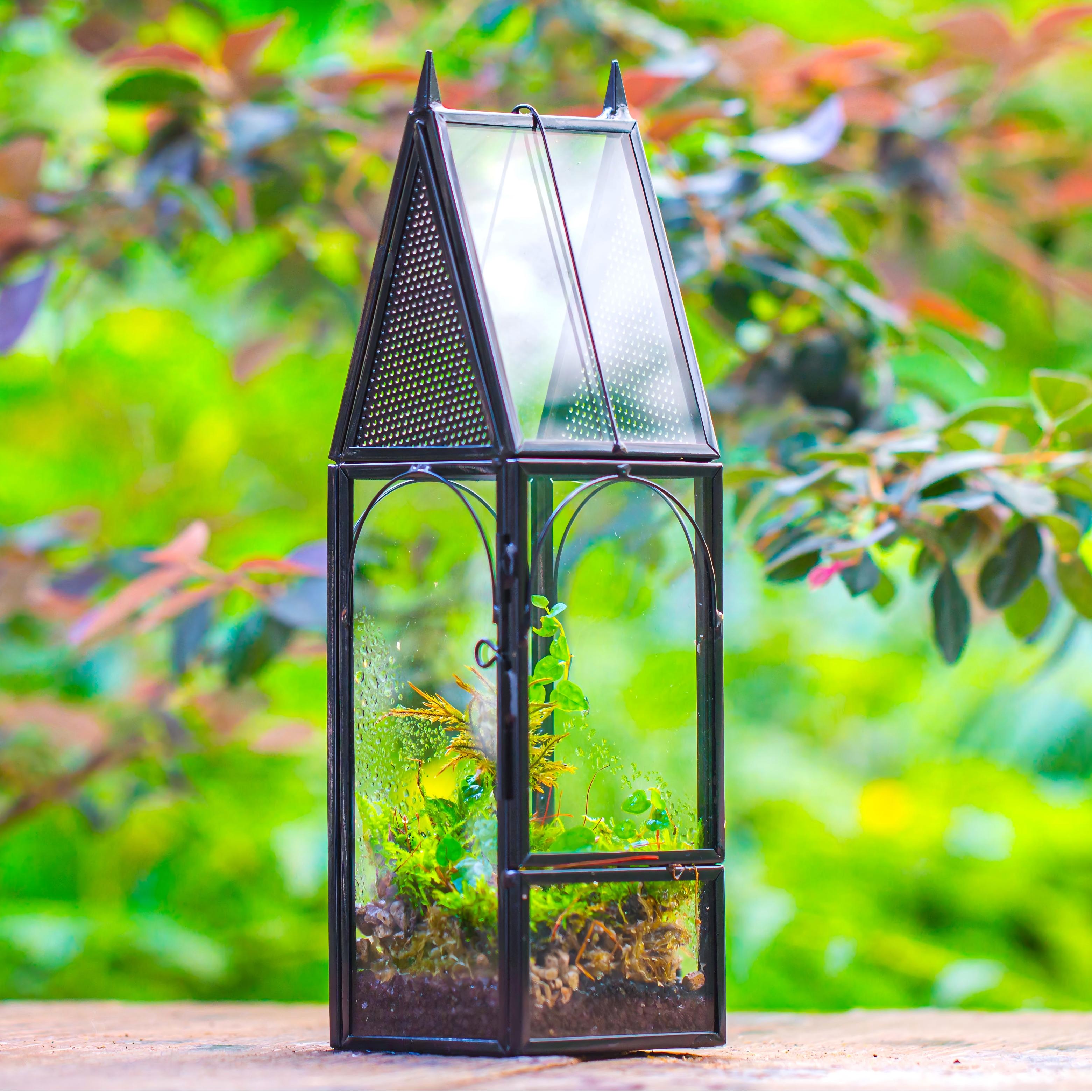 Mini tall house shape jumping spider terrarium - NCYPgarden