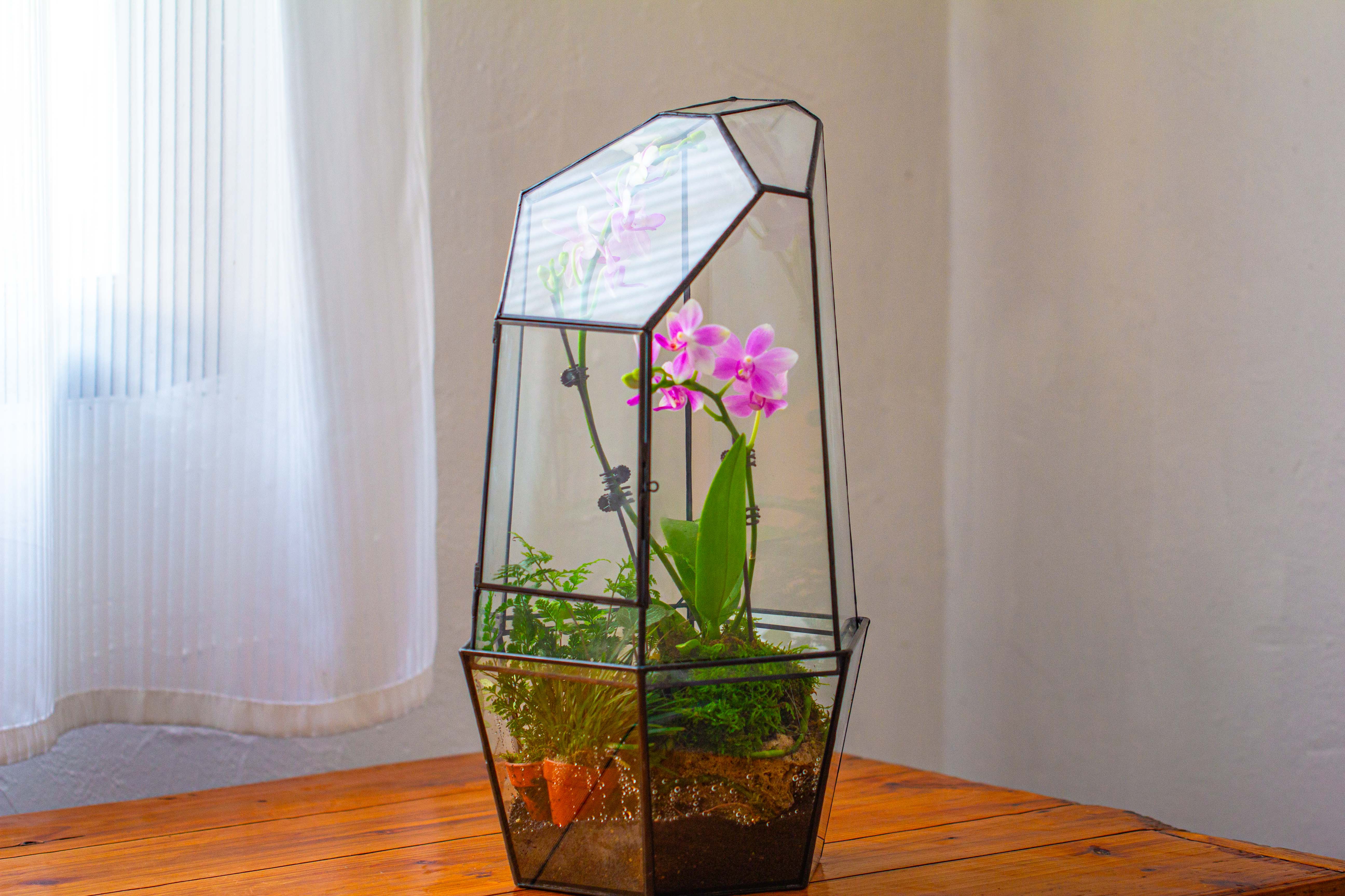 Large 2-Part 18.9" tall Close Glass Terrarium for orchid, fern, moss, Watertight - NCYPgarden
