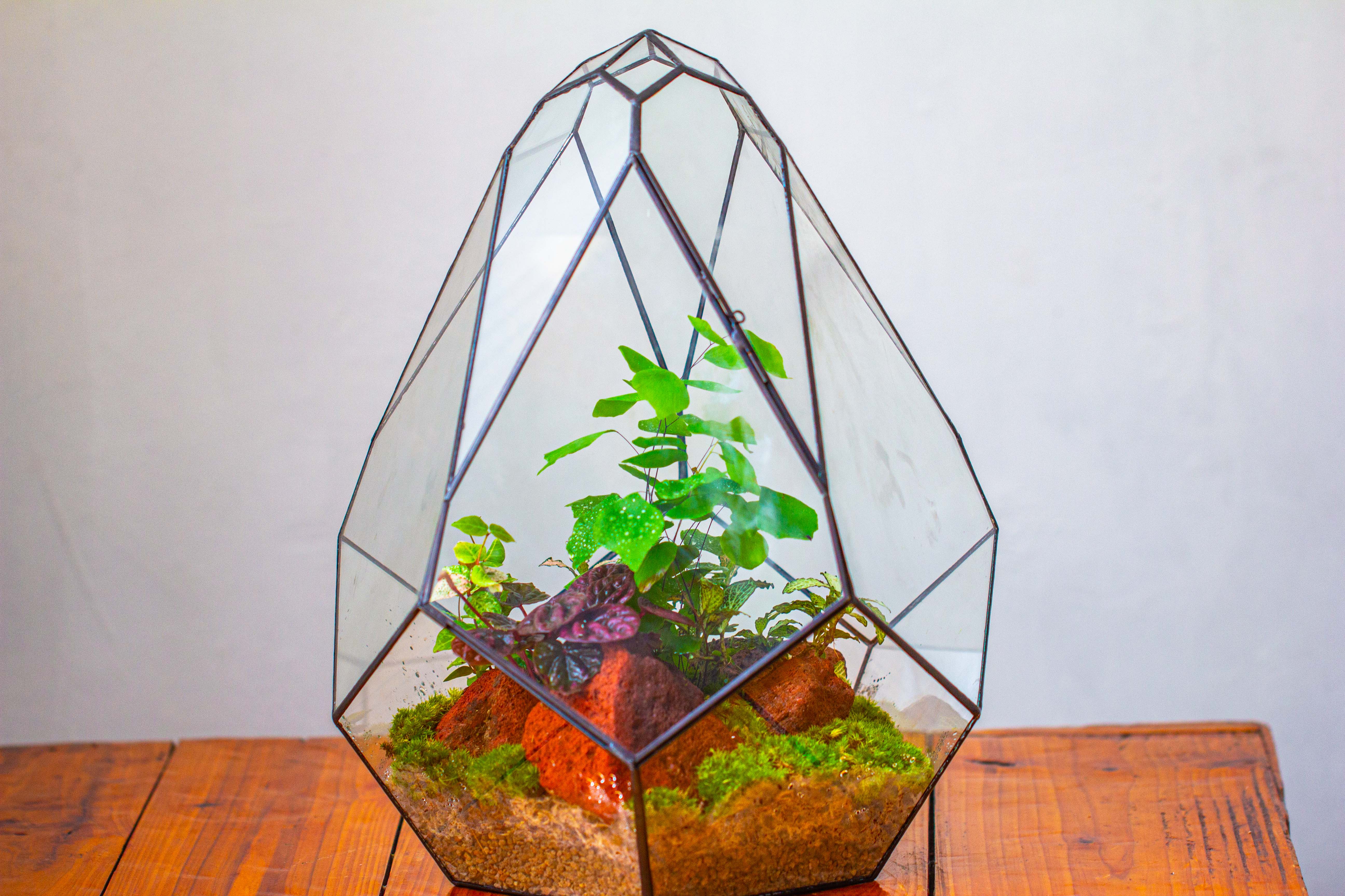 16" Large Teardrop Geometric Terrarium, close - NCYPgarden