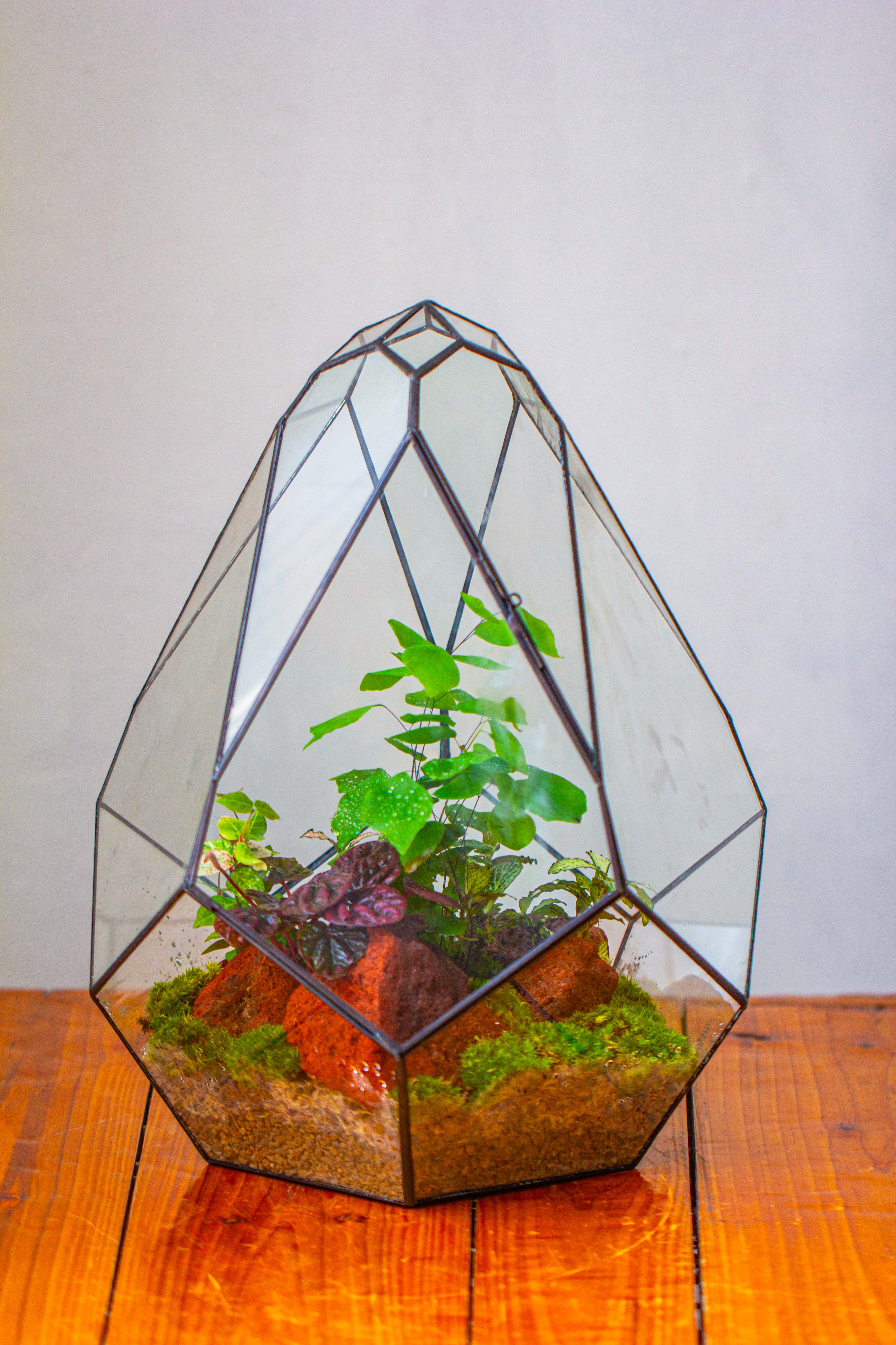 16" Large Teardrop Geometric Terrarium, close - NCYPgarden