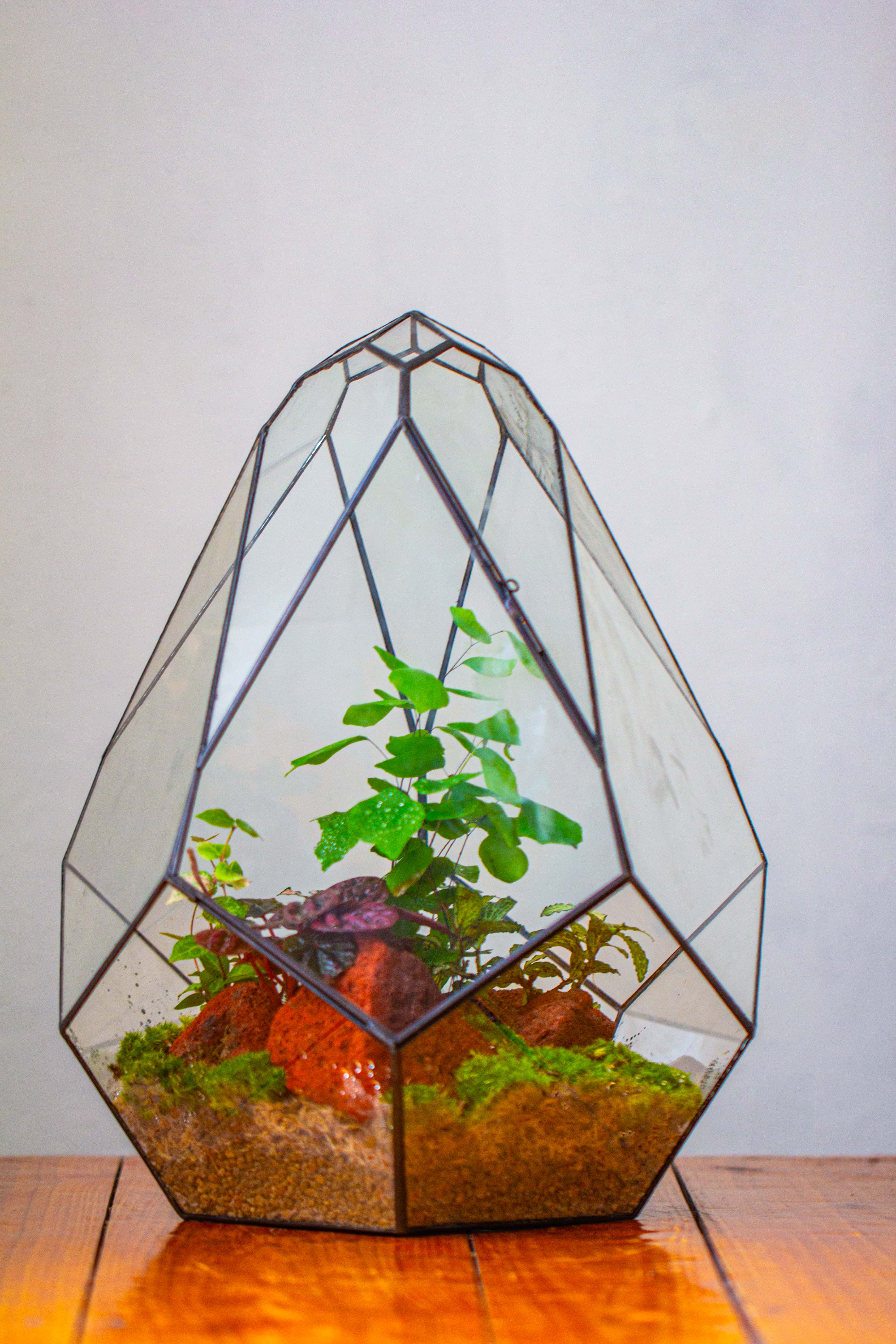 16" Large Teardrop Geometric Terrarium, close - NCYPgarden
