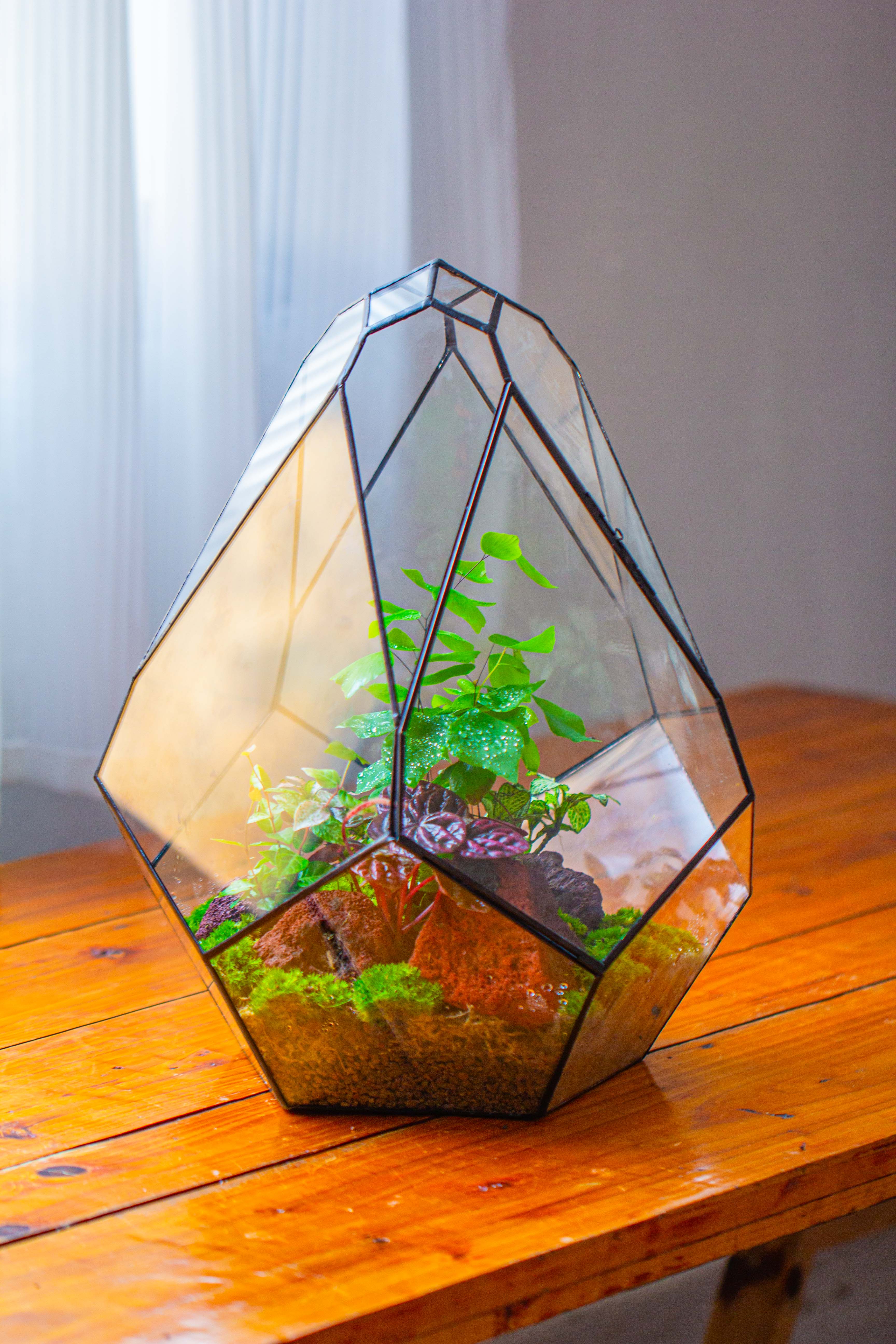 16" Large Teardrop Geometric Terrarium, close - NCYPgarden
