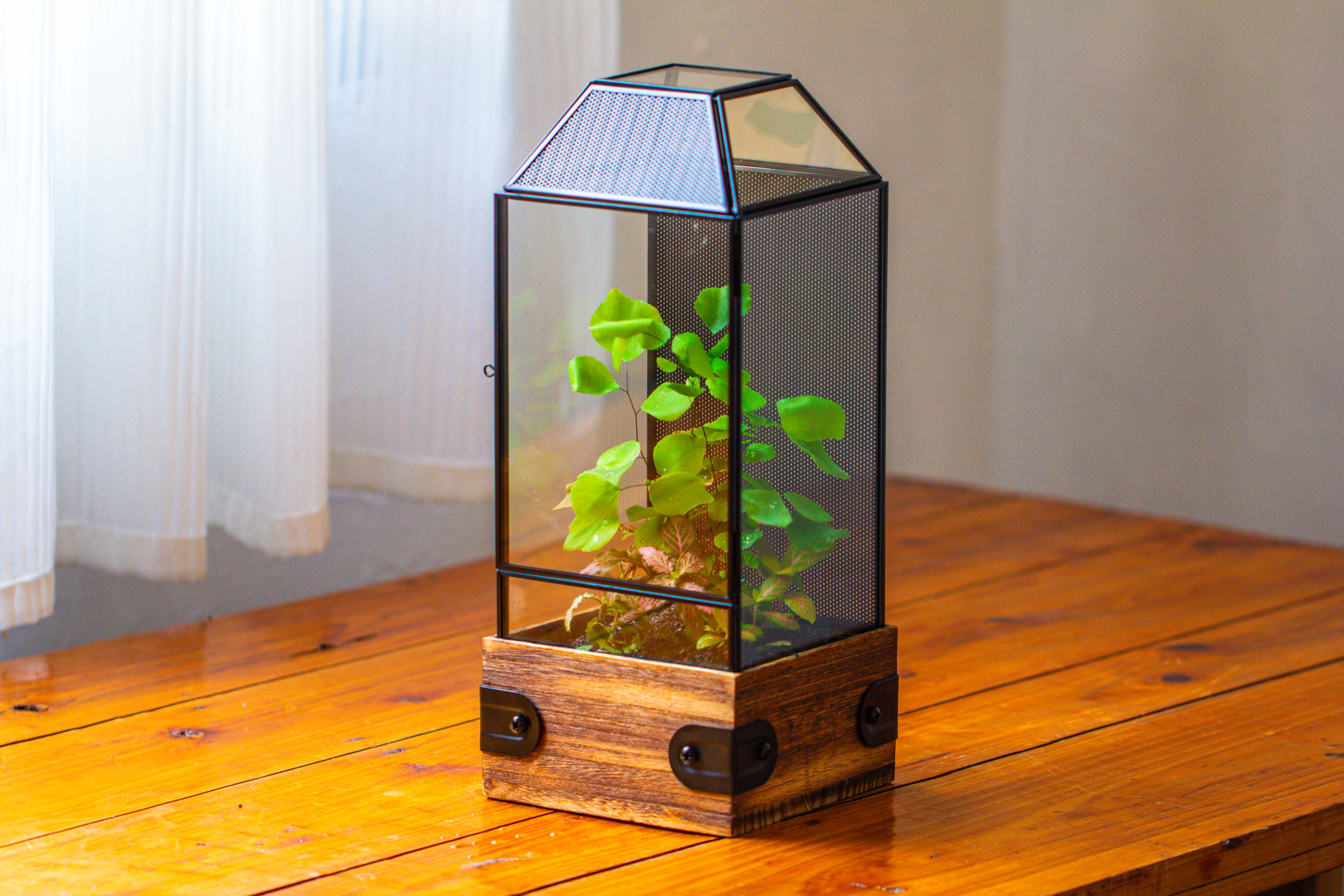Handmade Glass Terrarium with Wood Base, Geometric Jumping Spider Enclosure, with Mesh Vent, for Plants, Snail, Insects - NCYPgarden