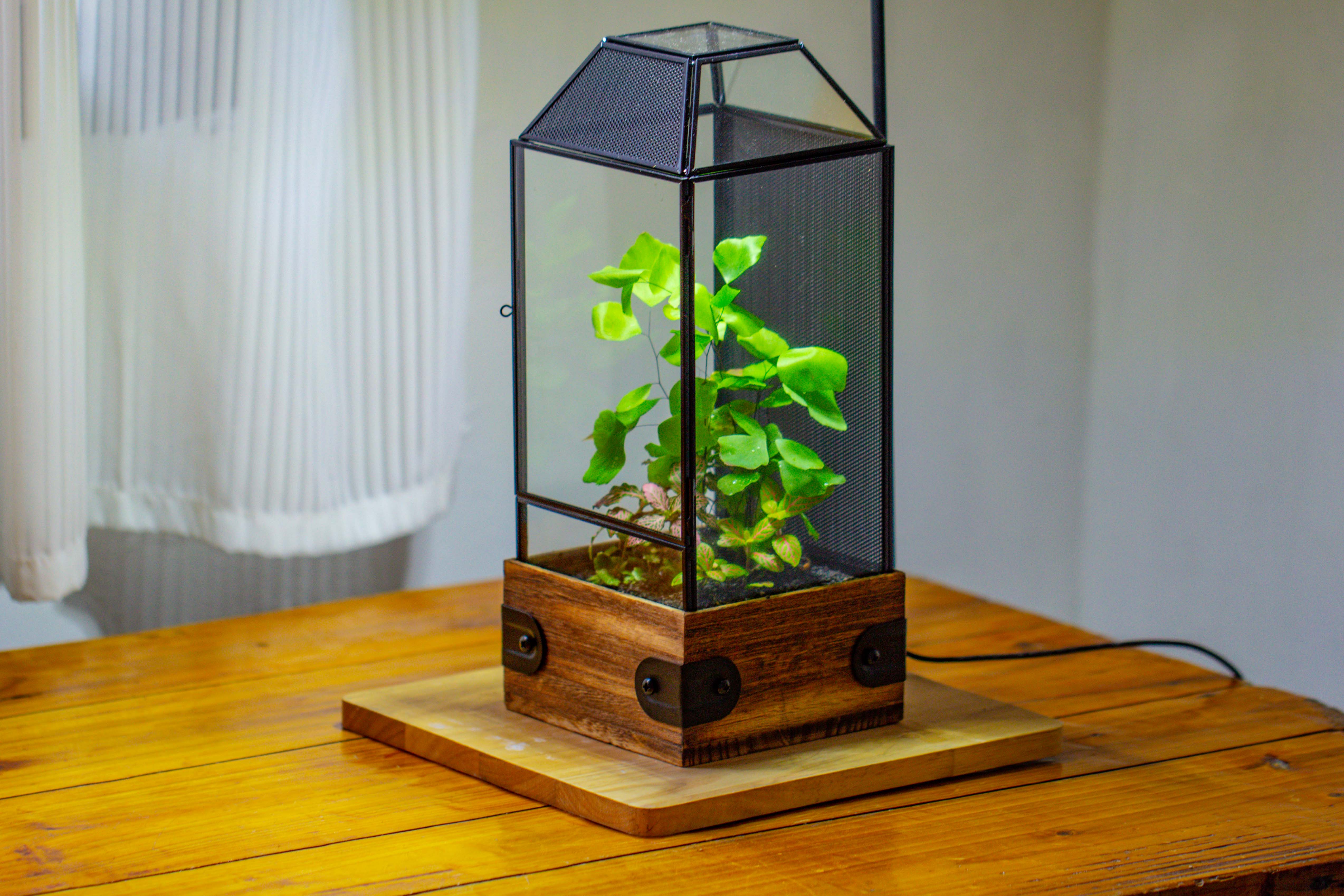 Handmade Glass Terrarium with Wood Base, Geometric Jumping Spider Enclosure, with Mesh Vent, for Plants, Snail, Insects - NCYPgarden