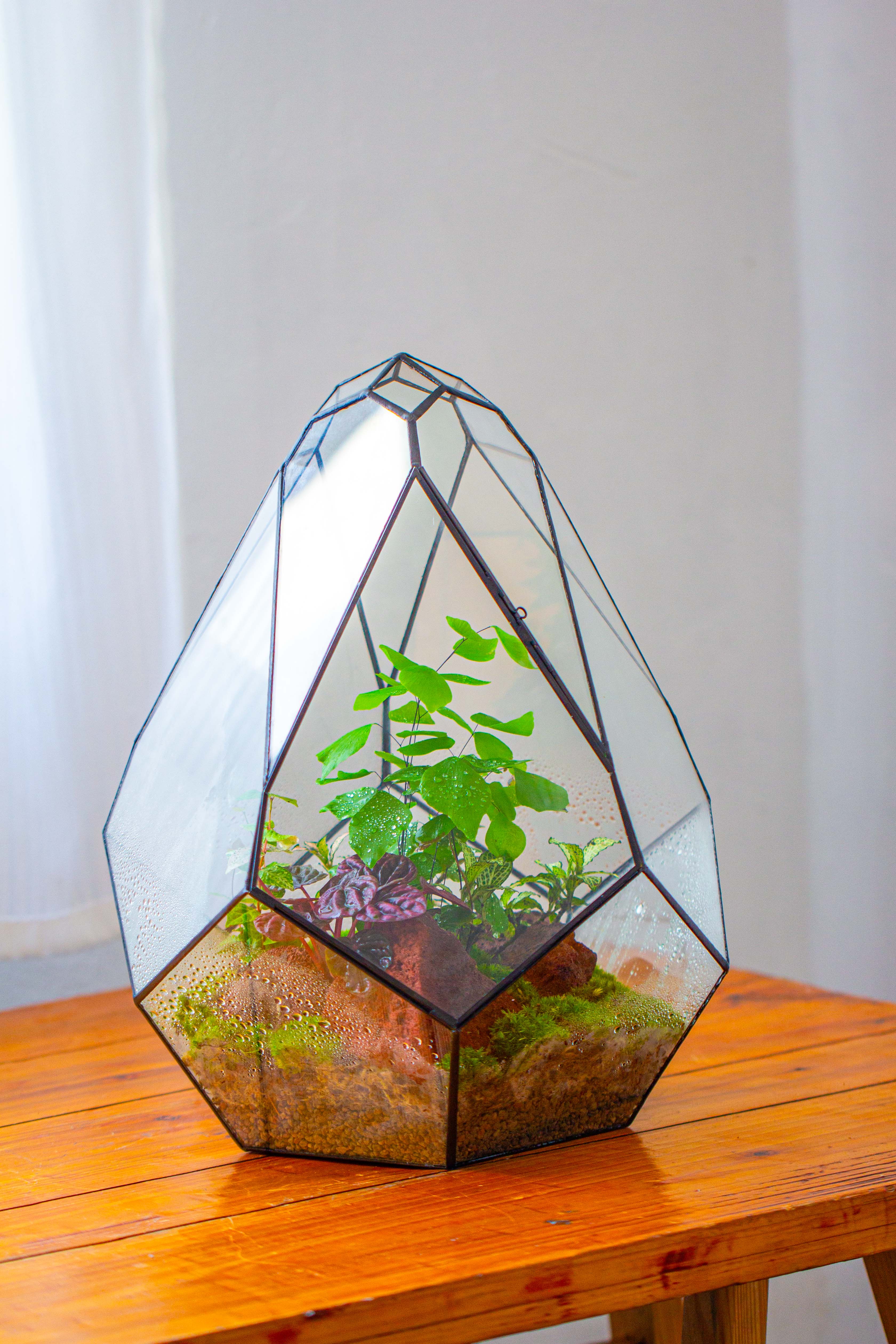16" Large Teardrop Geometric Terrarium, close - NCYPgarden