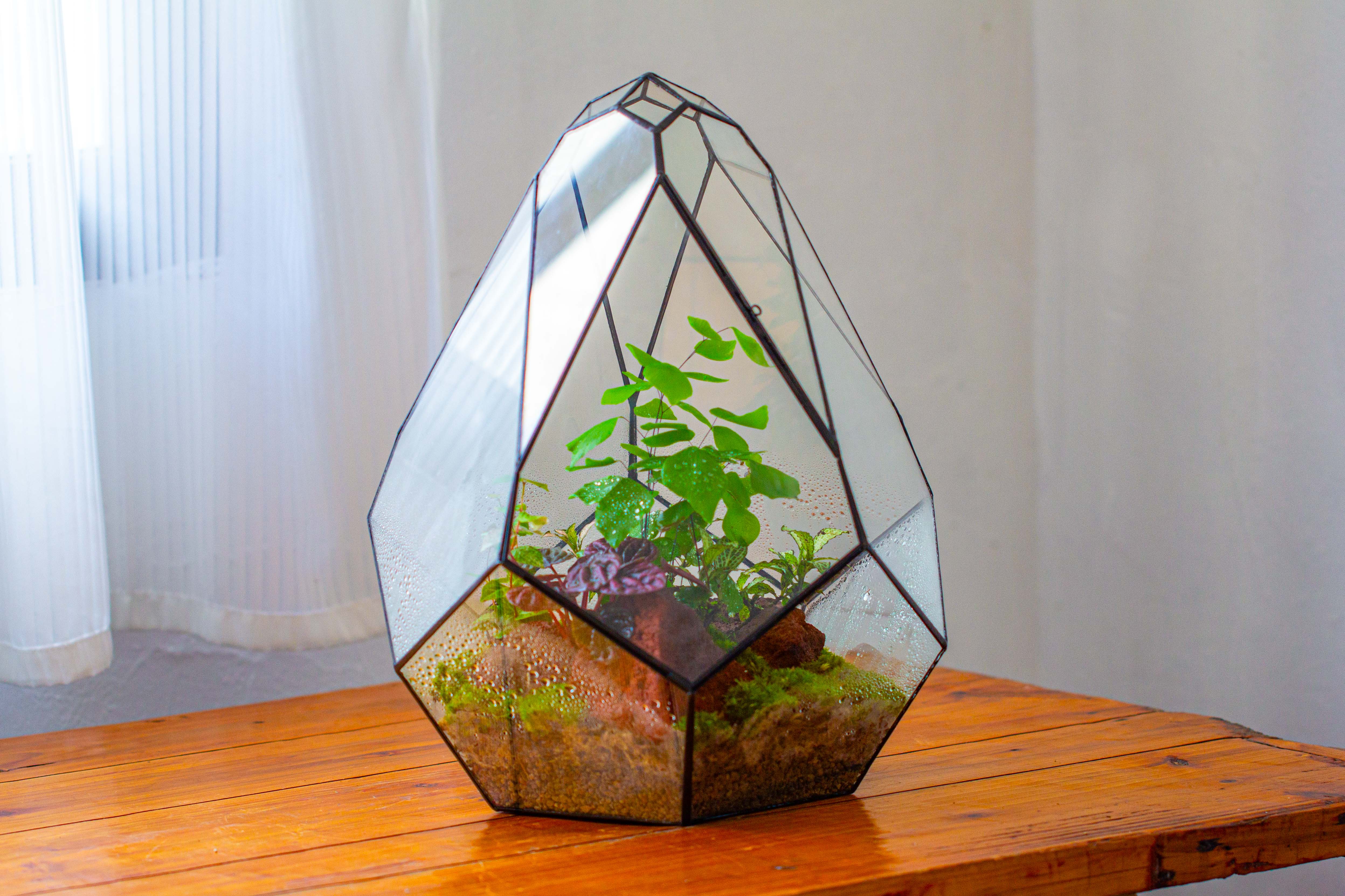16" Large Teardrop Geometric Terrarium, close - NCYPgarden