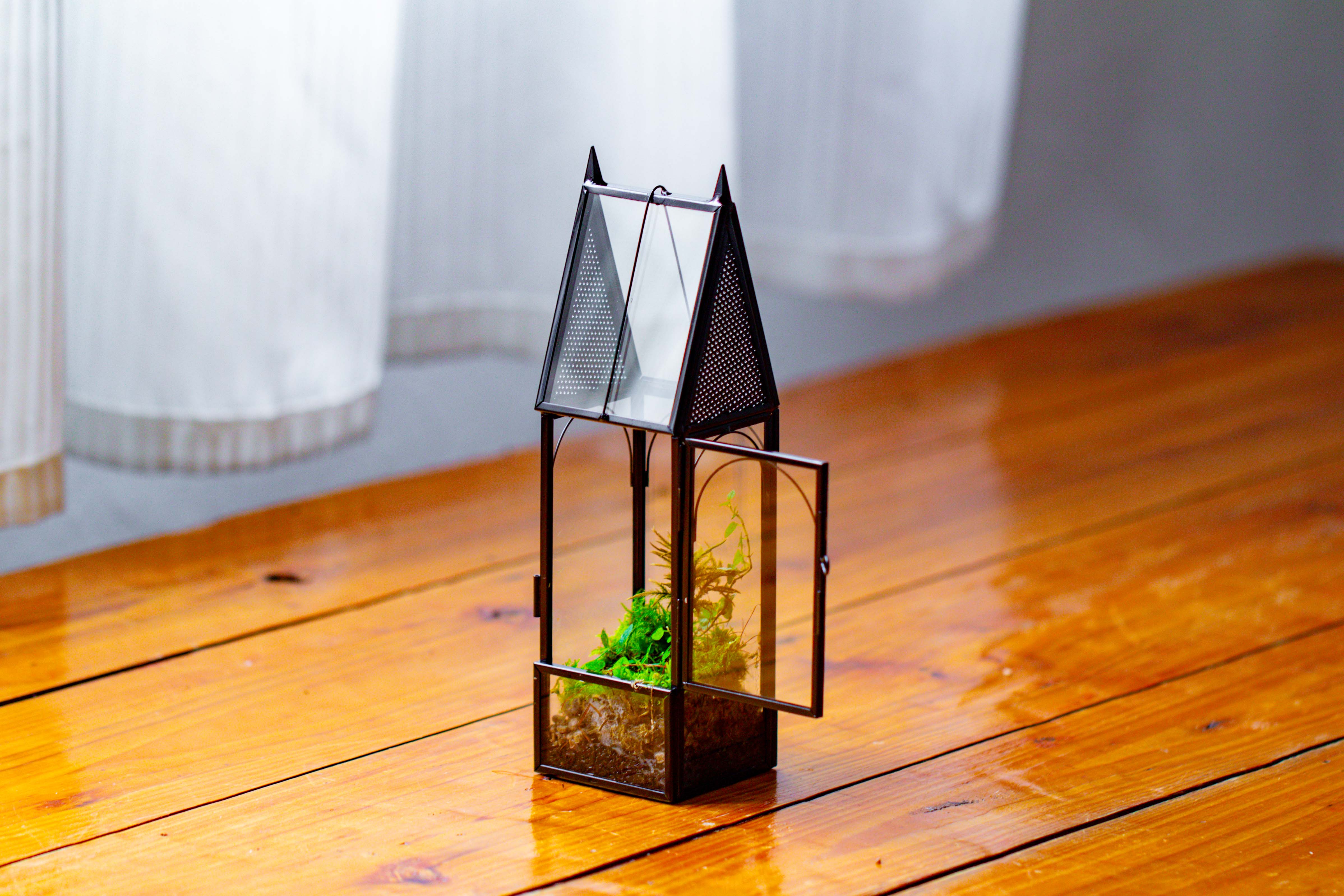 Mini tall house shape jumping spider terrarium - NCYPgarden