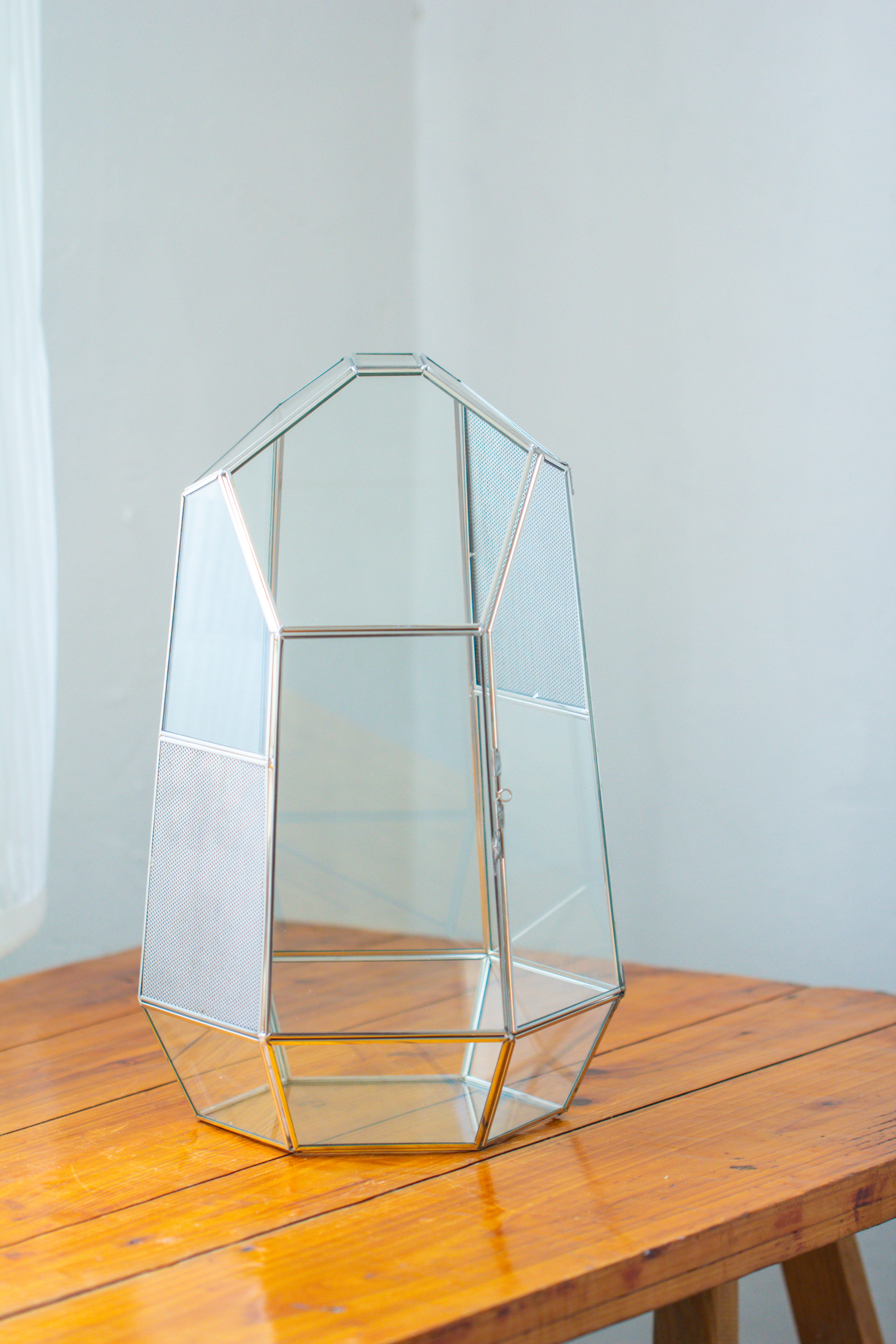 16.1" Large Irregular Geometric Glass Terrarium, Close,  vented Silver, for tropical plants, and large insects - NCYPgarden