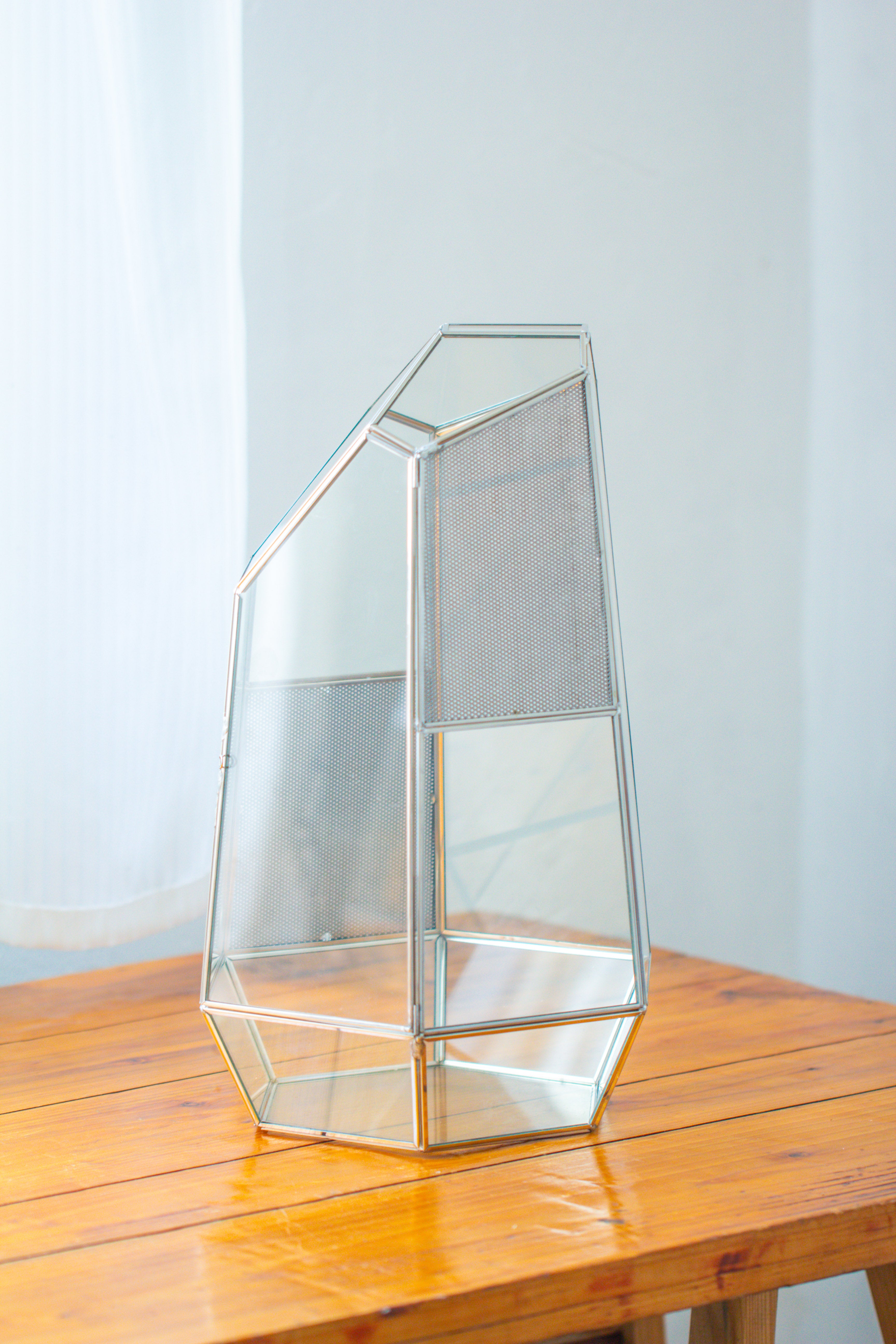 16.1" Large Irregular Geometric Glass Terrarium, Close,  vented Silver, for tropical plants, and large insects - NCYPgarden