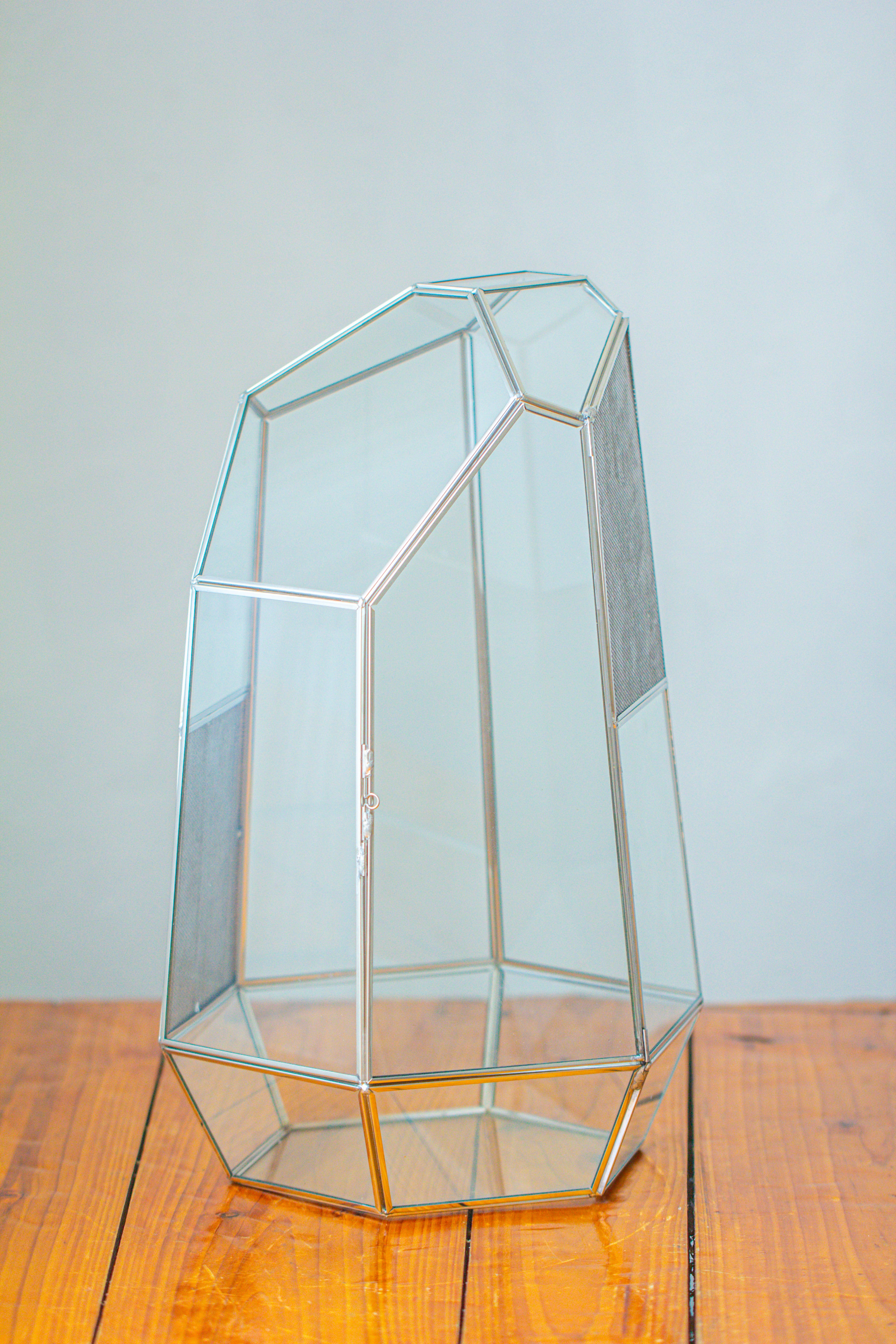 16.1" Large Irregular Geometric Glass Terrarium, Close,  vented Silver, for tropical plants, and large insects - NCYPgarden