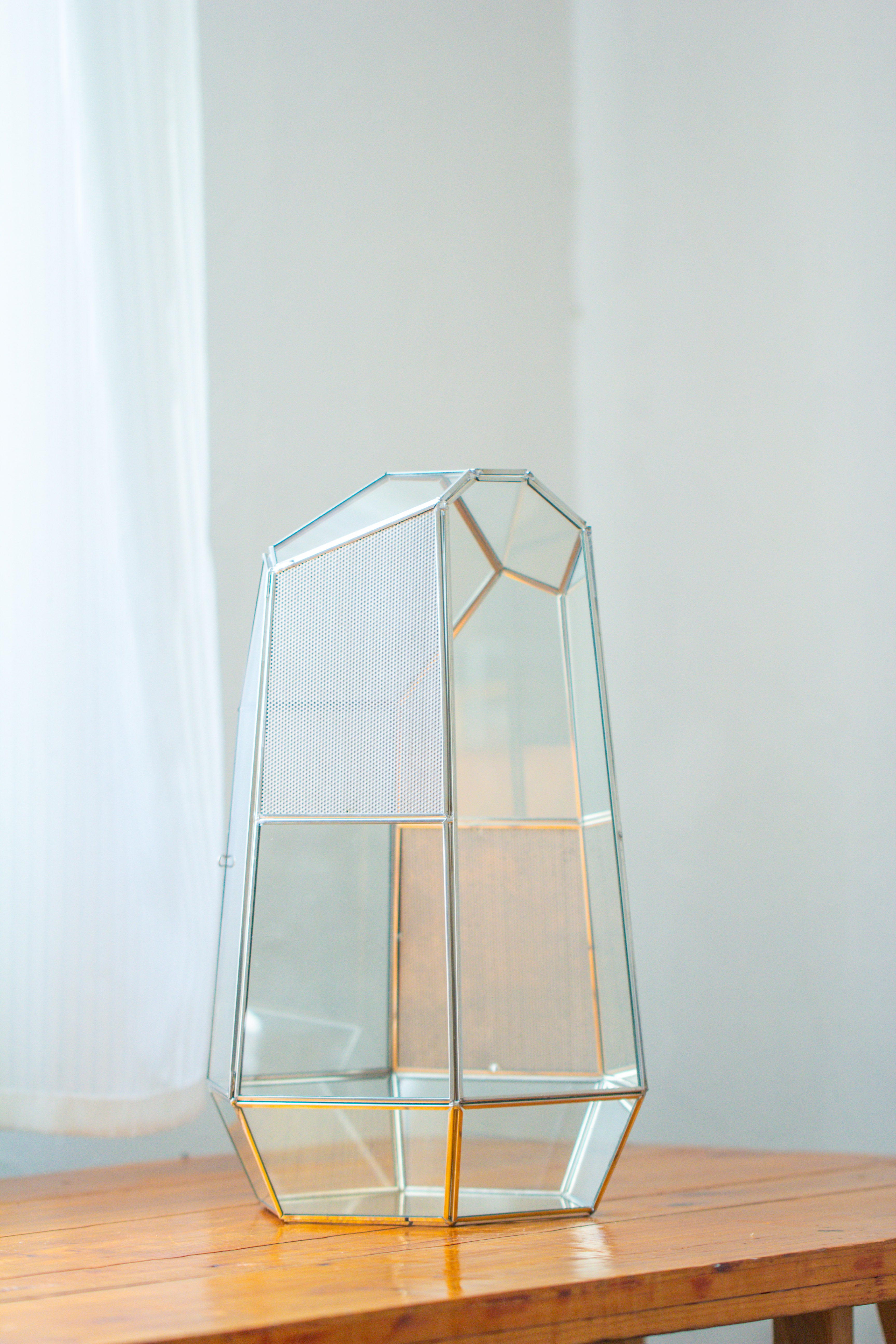 16.1" Large Irregular Geometric Glass Terrarium, Close,  vented Silver, for tropical plants, and large insects - NCYPgarden