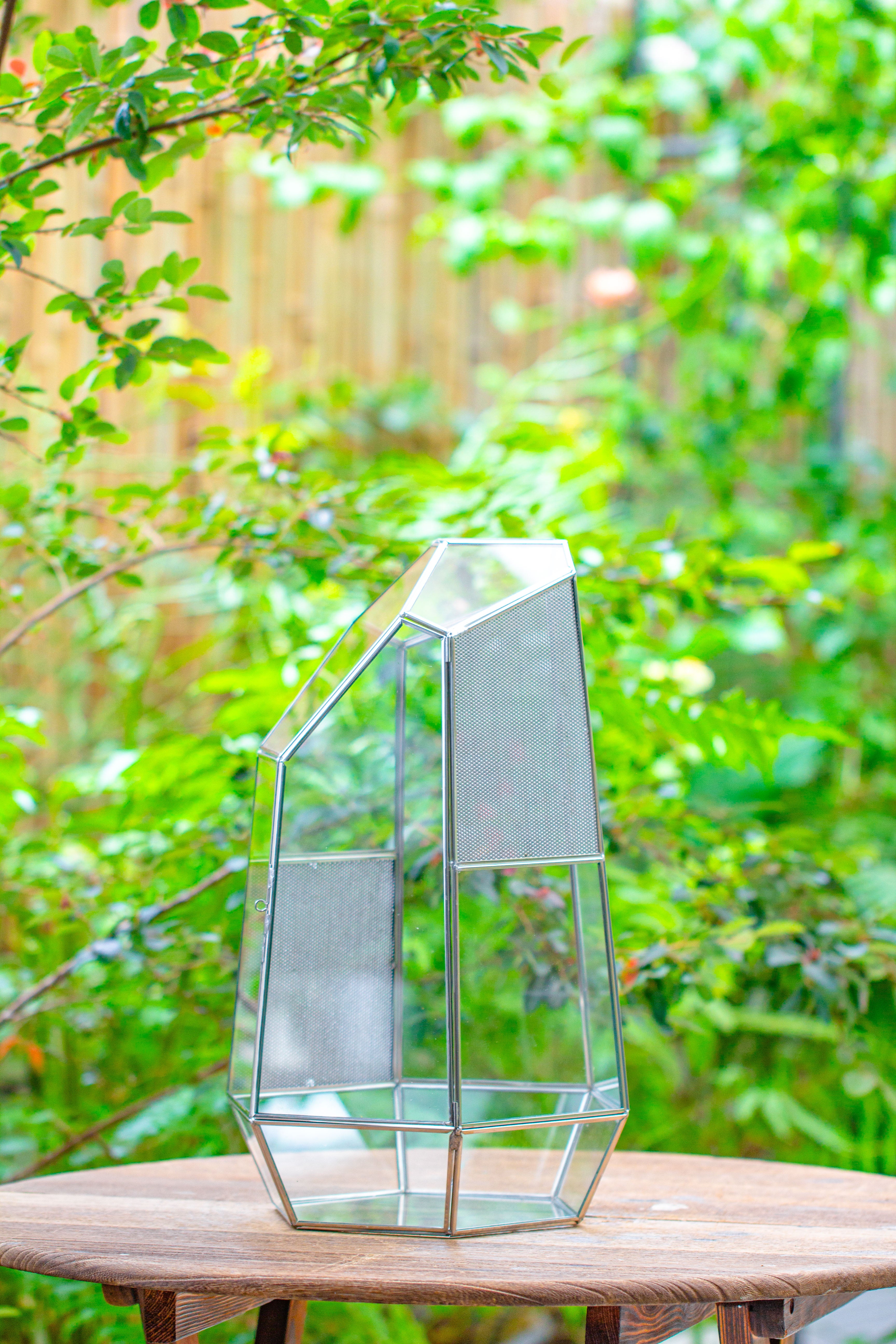 16.1" Large Irregular Geometric Glass Terrarium, Close,  vented Silver, for tropical plants, and large insects - NCYPgarden