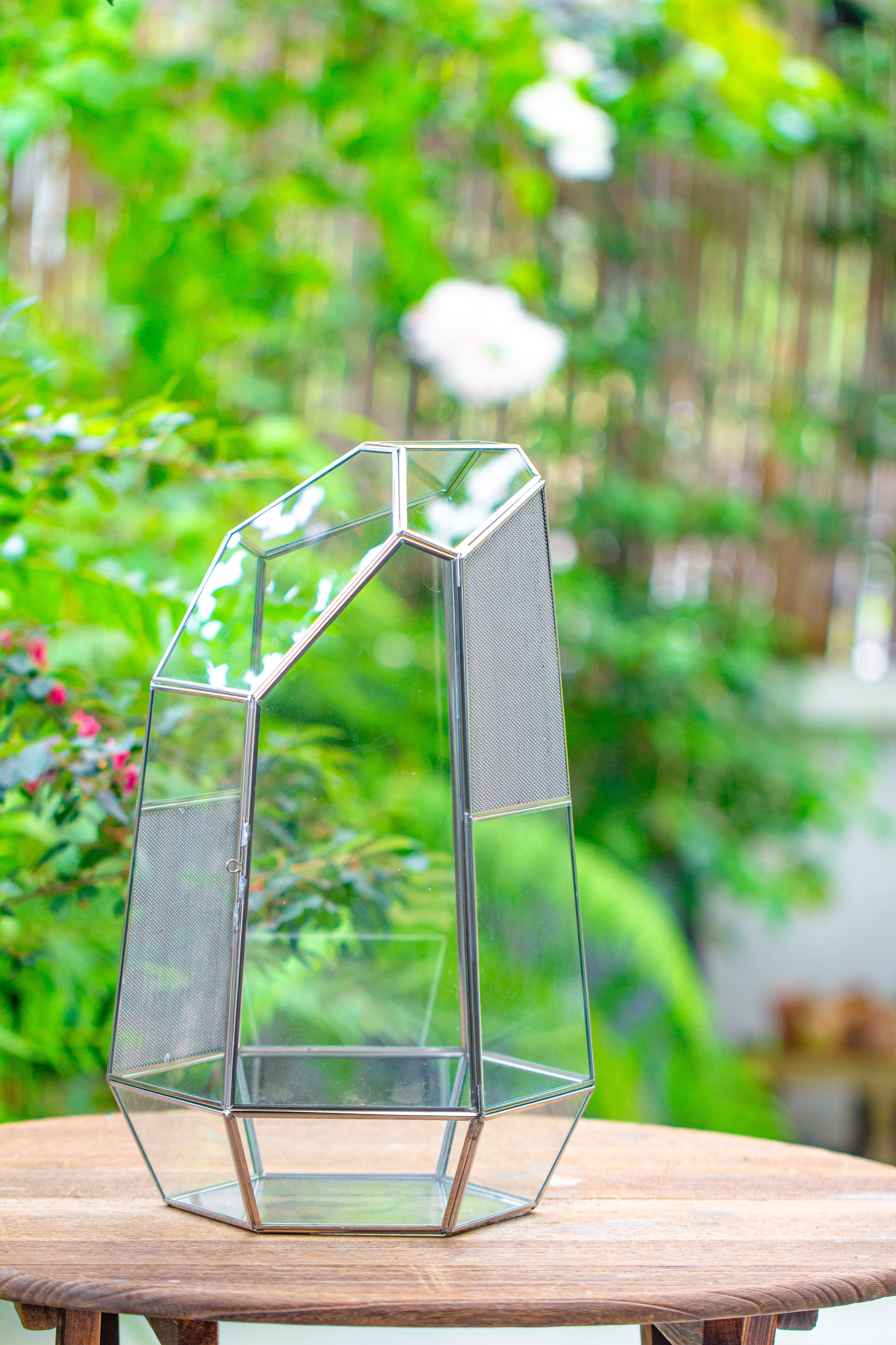 16.1" Large Irregular Geometric Glass Terrarium, Close,  vented Silver, for tropical plants, and large insects - NCYPgarden