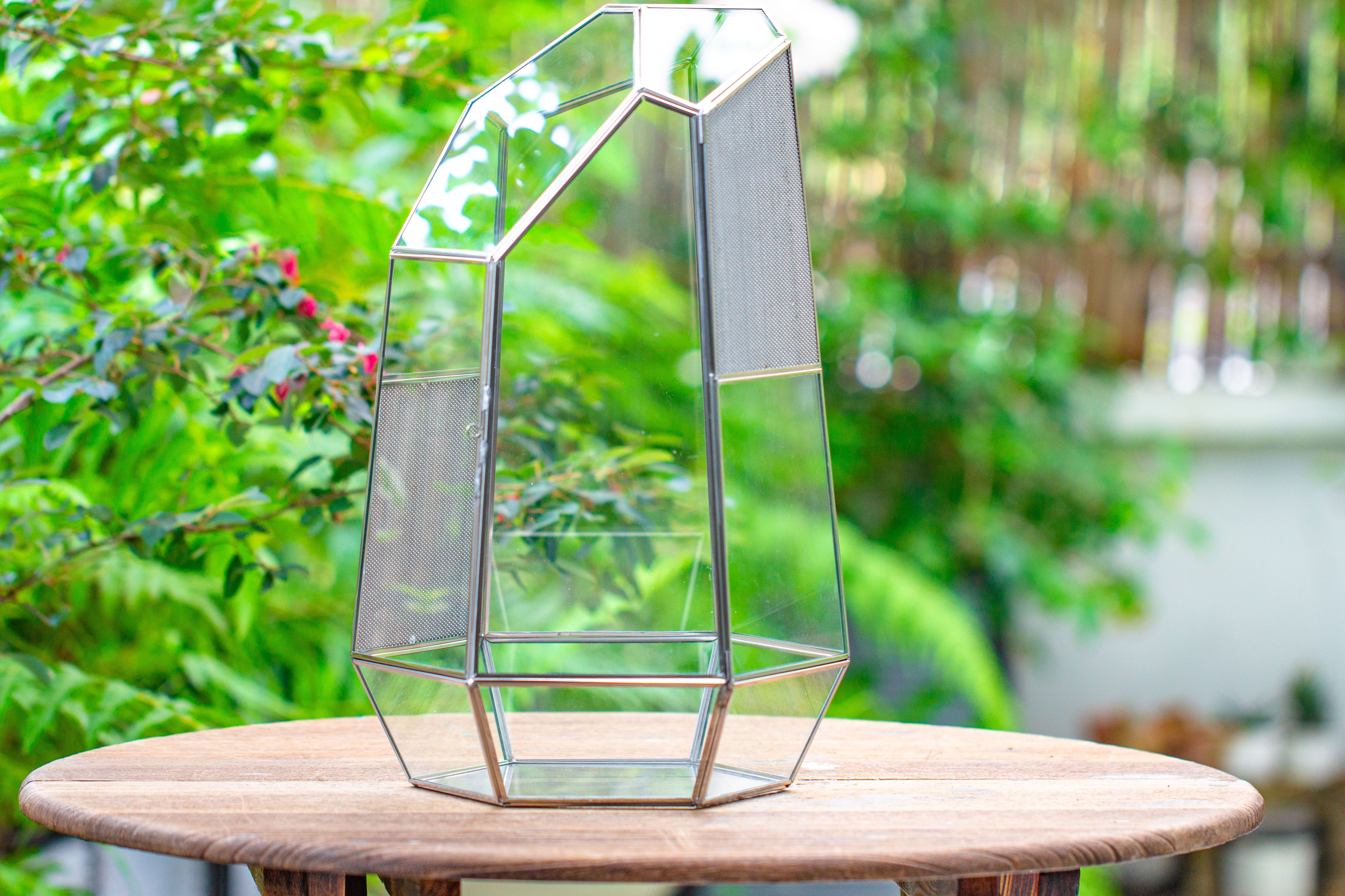 16.1" Large Irregular Geometric Glass Terrarium, Close,  vented Silver, for tropical plants, and large insects - NCYPgarden