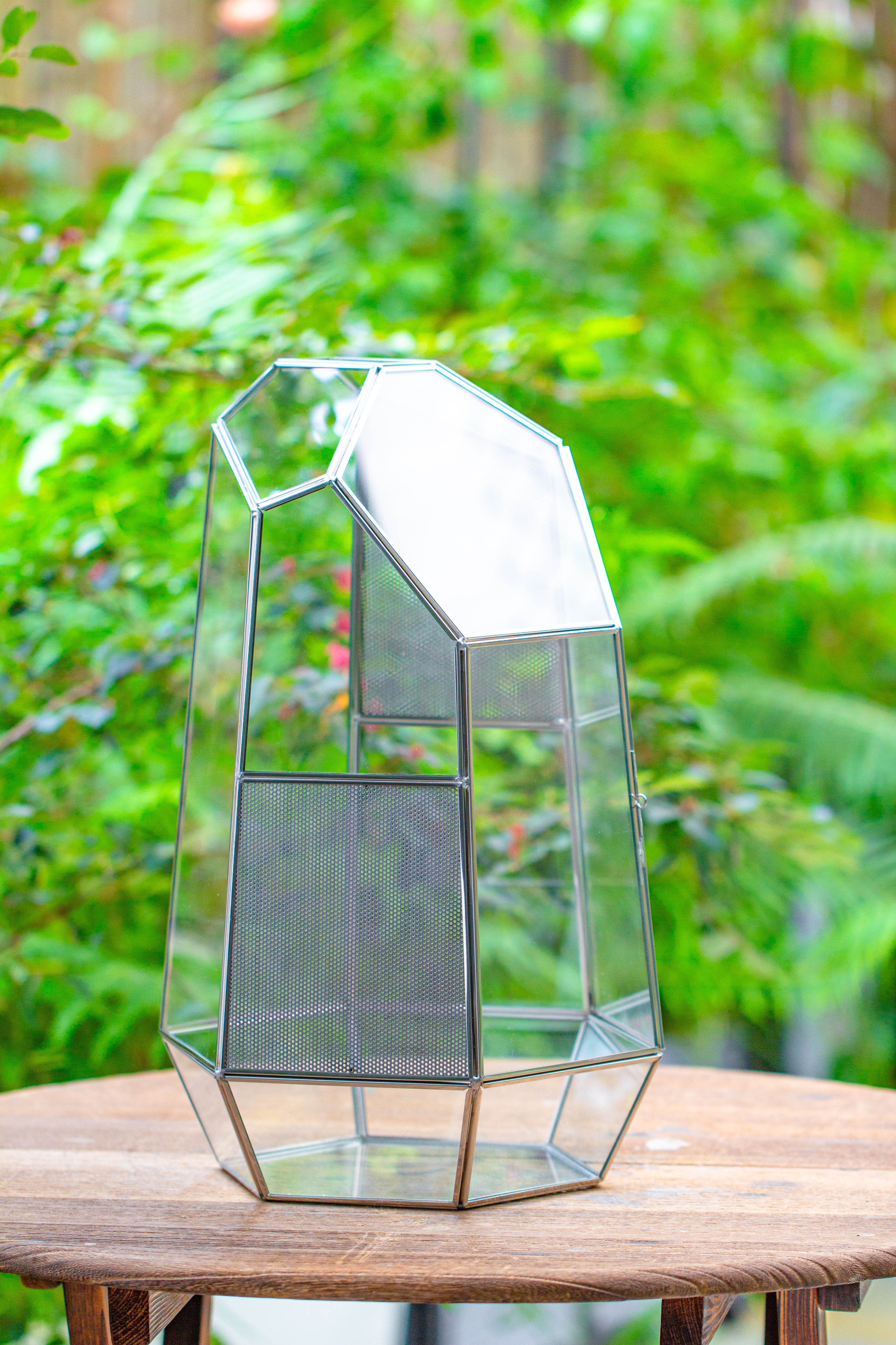 16.1" Large Irregular Geometric Glass Terrarium, Close,  vented Silver, for tropical plants, and large insects - NCYPgarden