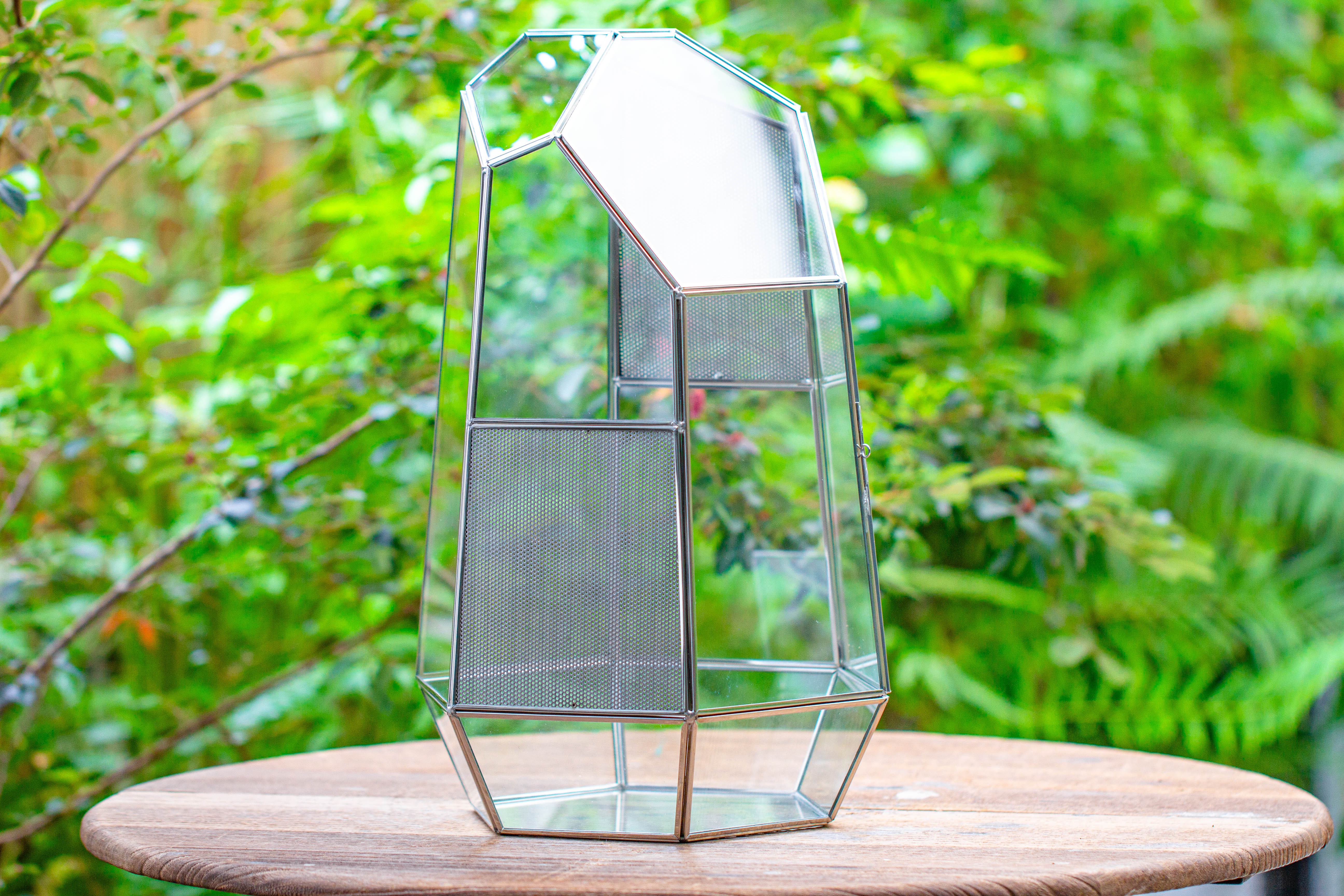 16.1" Large Irregular Geometric Glass Terrarium, Close,  vented Silver, for tropical plants, and large insects - NCYPgarden