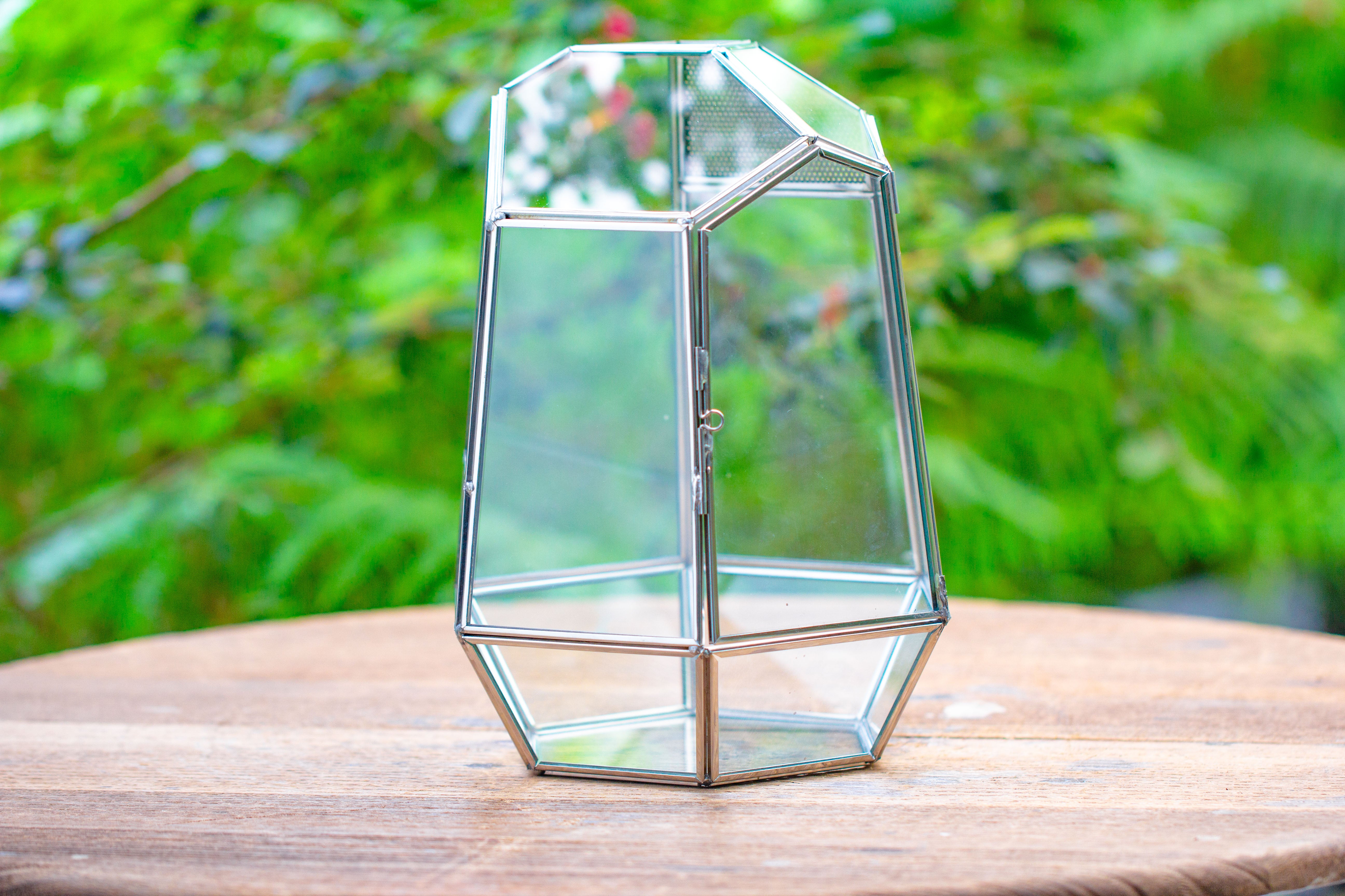 Silver 9.8" Irregular Geometric Glass Terrarium, Close, well vented, for tropical plants, and insects - NCYPgarden