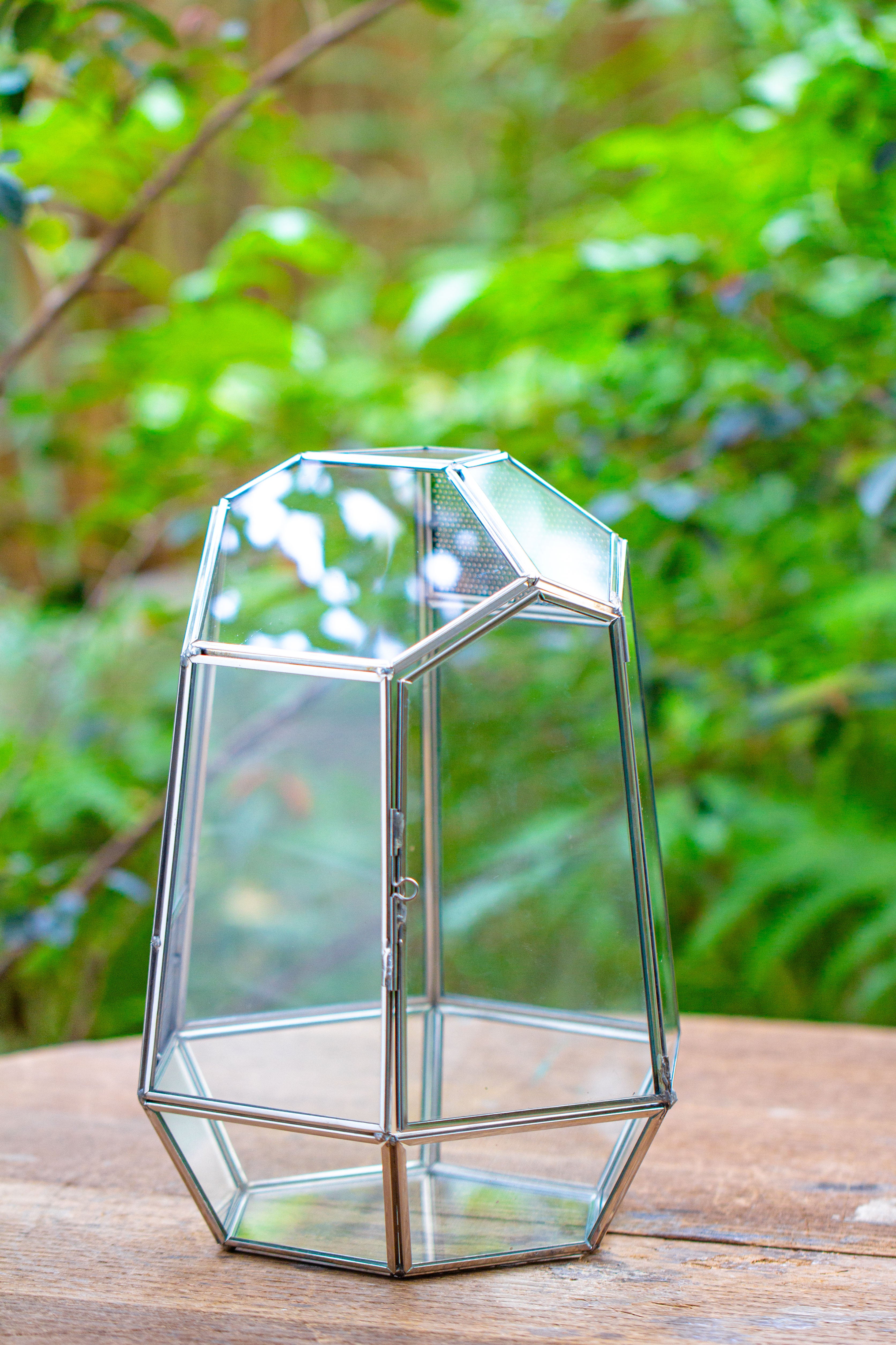 Silver 9.8" Irregular Geometric Glass Terrarium, Close, well vented, for tropical plants, and insects - NCYPgarden