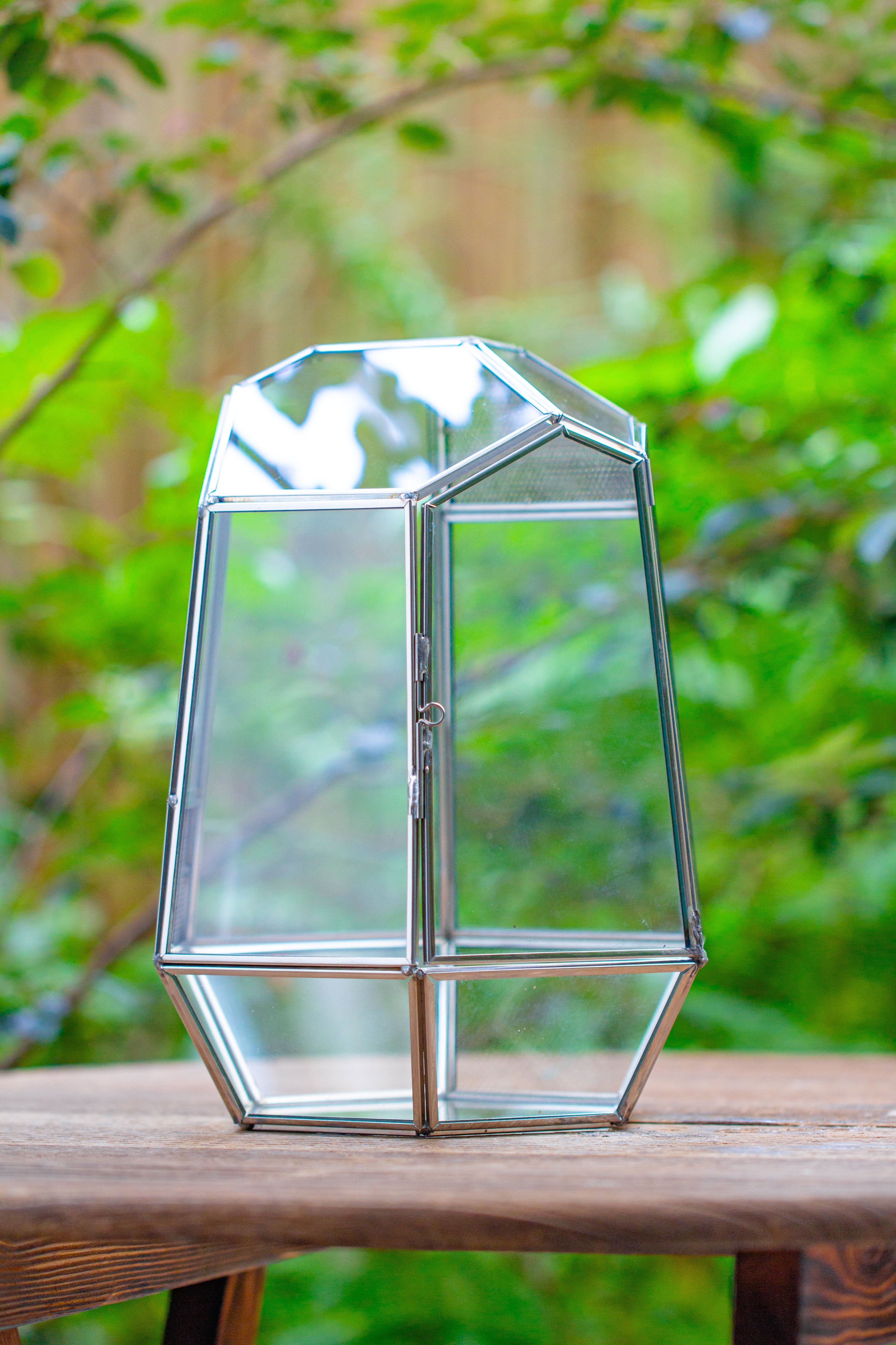 Silver 9.8" Irregular Geometric Glass Terrarium, Close, well vented, for tropical plants, and insects - NCYPgarden