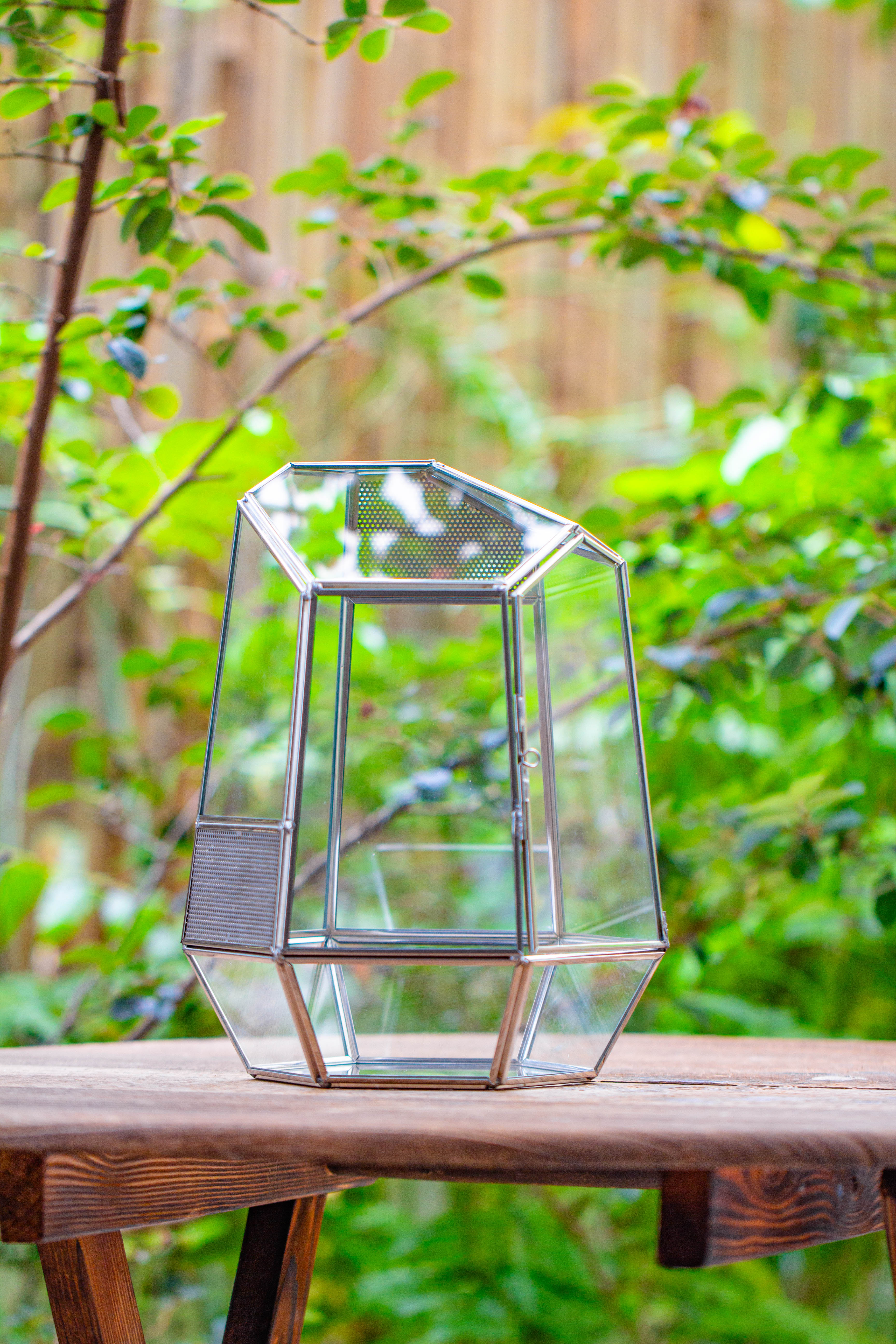 Silver 9.8" Irregular Geometric Glass Terrarium, Close, well vented, for tropical plants, and insects - NCYPgarden