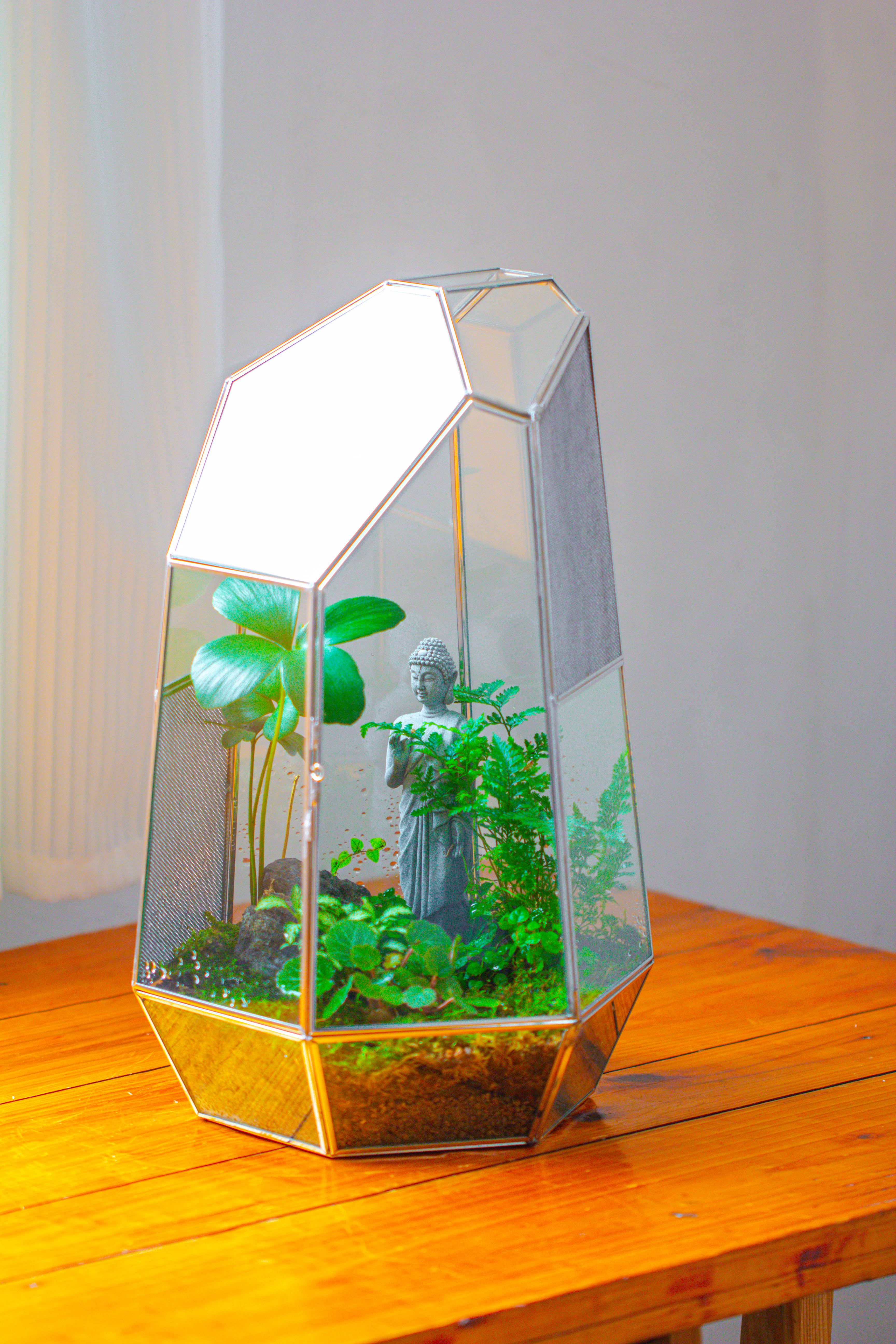 16.1" Large Irregular Geometric Glass Terrarium, Close,  vented Silver, for tropical plants, and large insects - NCYPgarden