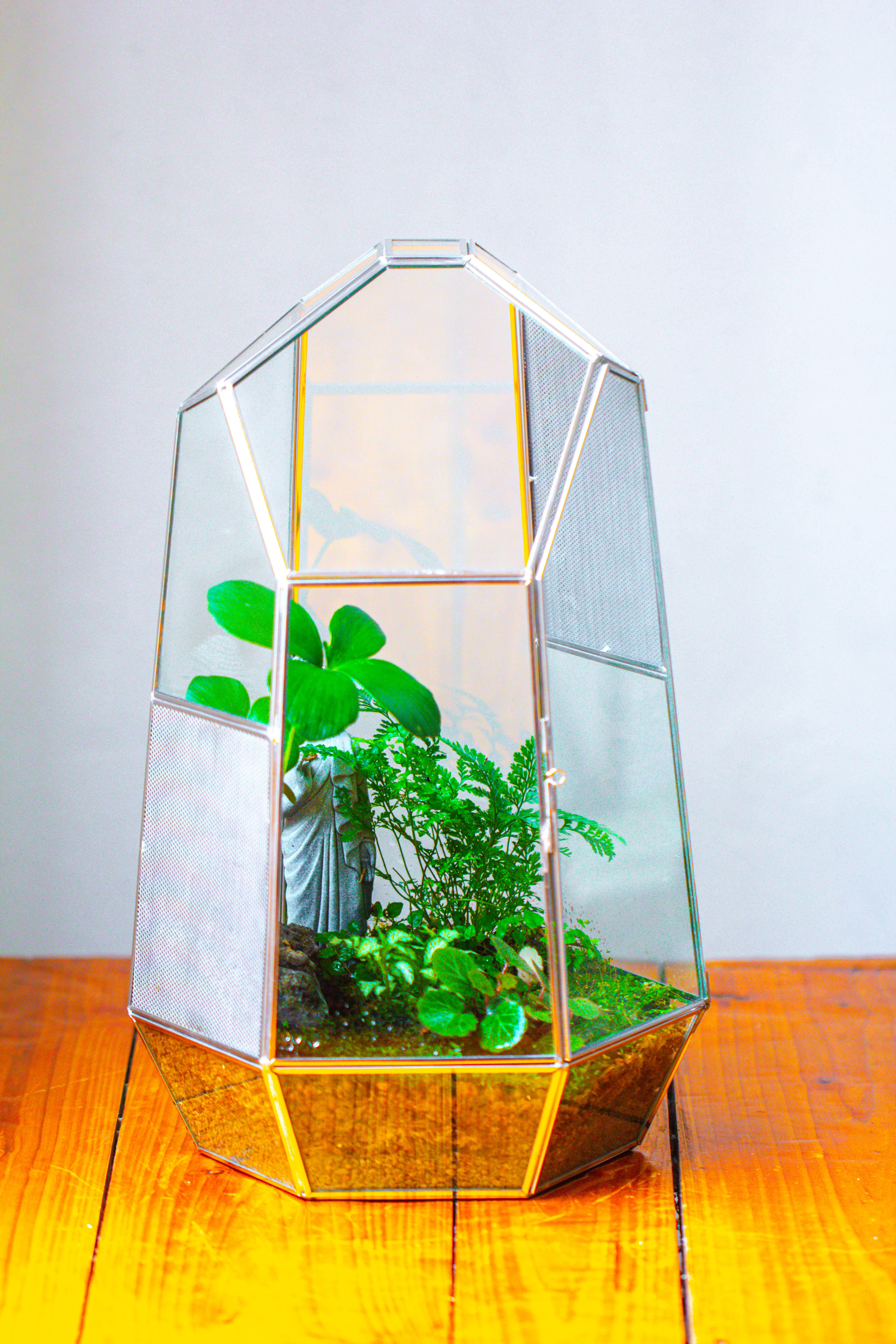 16.1" Large Irregular Geometric Glass Terrarium, Close,  vented Silver, for tropical plants, and large insects - NCYPgarden