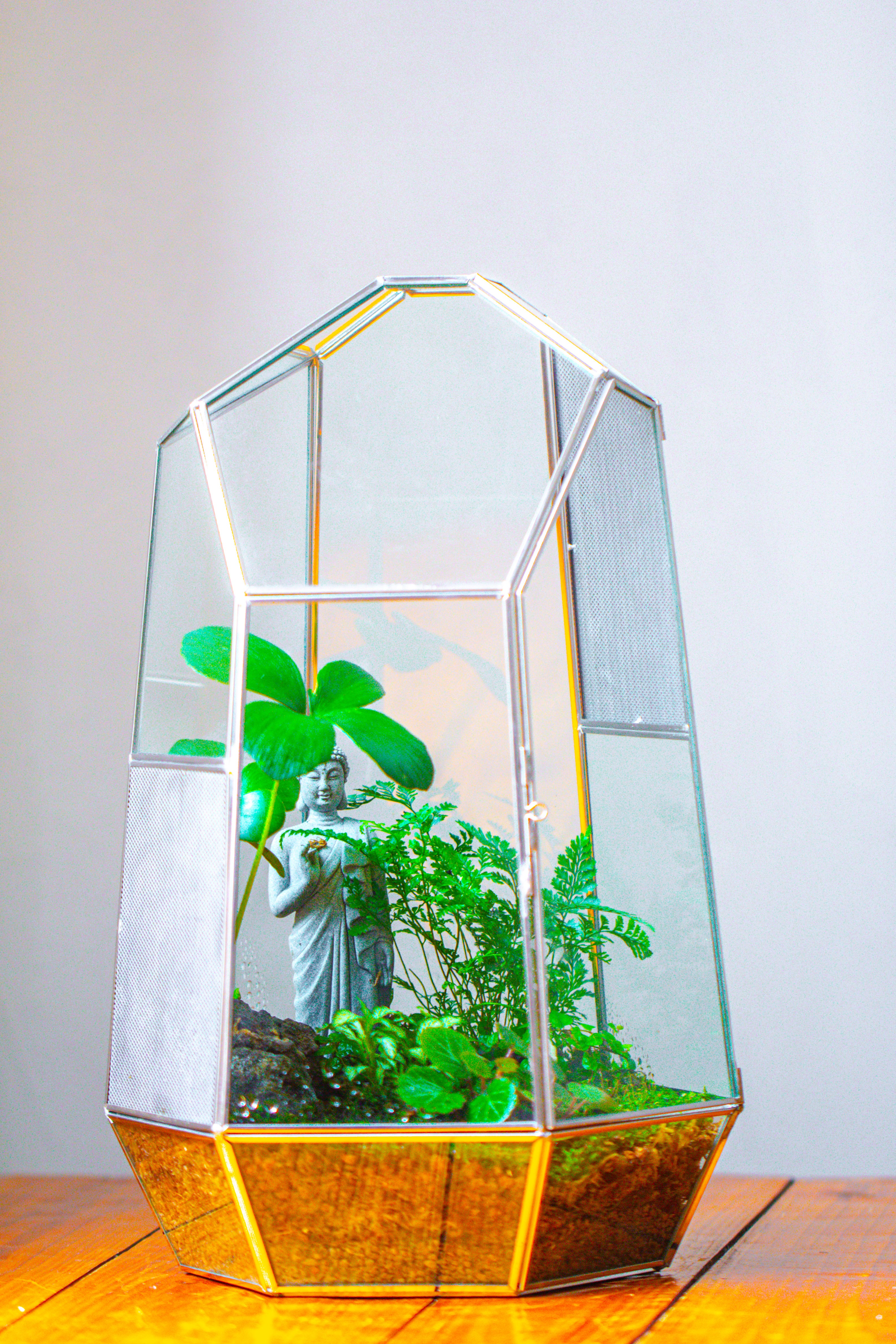 16.1" Large Irregular Geometric Glass Terrarium, Close,  vented Silver, for tropical plants, and large insects - NCYPgarden