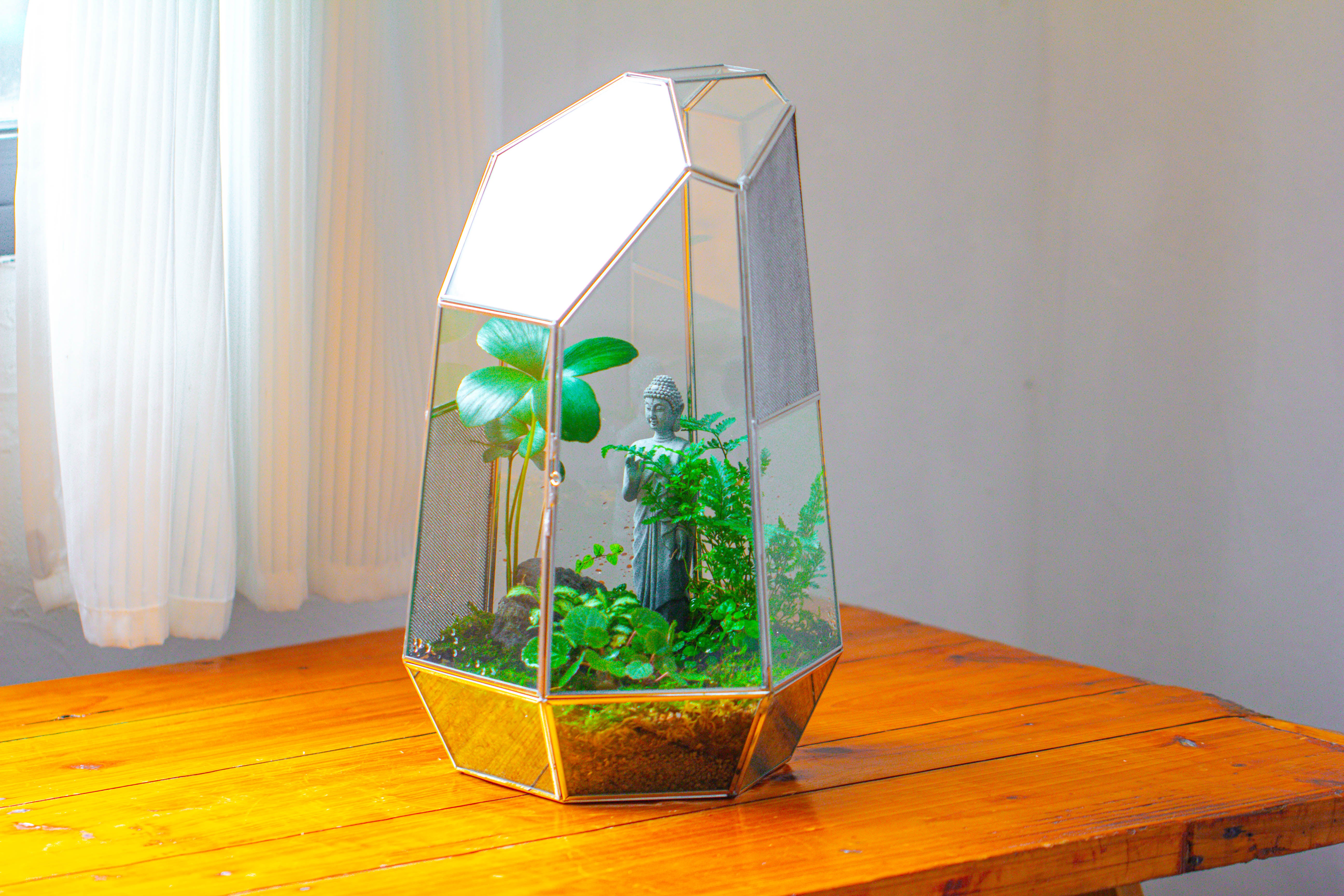 16.1" Large Irregular Geometric Glass Terrarium, Close,  vented Silver, for tropical plants, and large insects - NCYPgarden