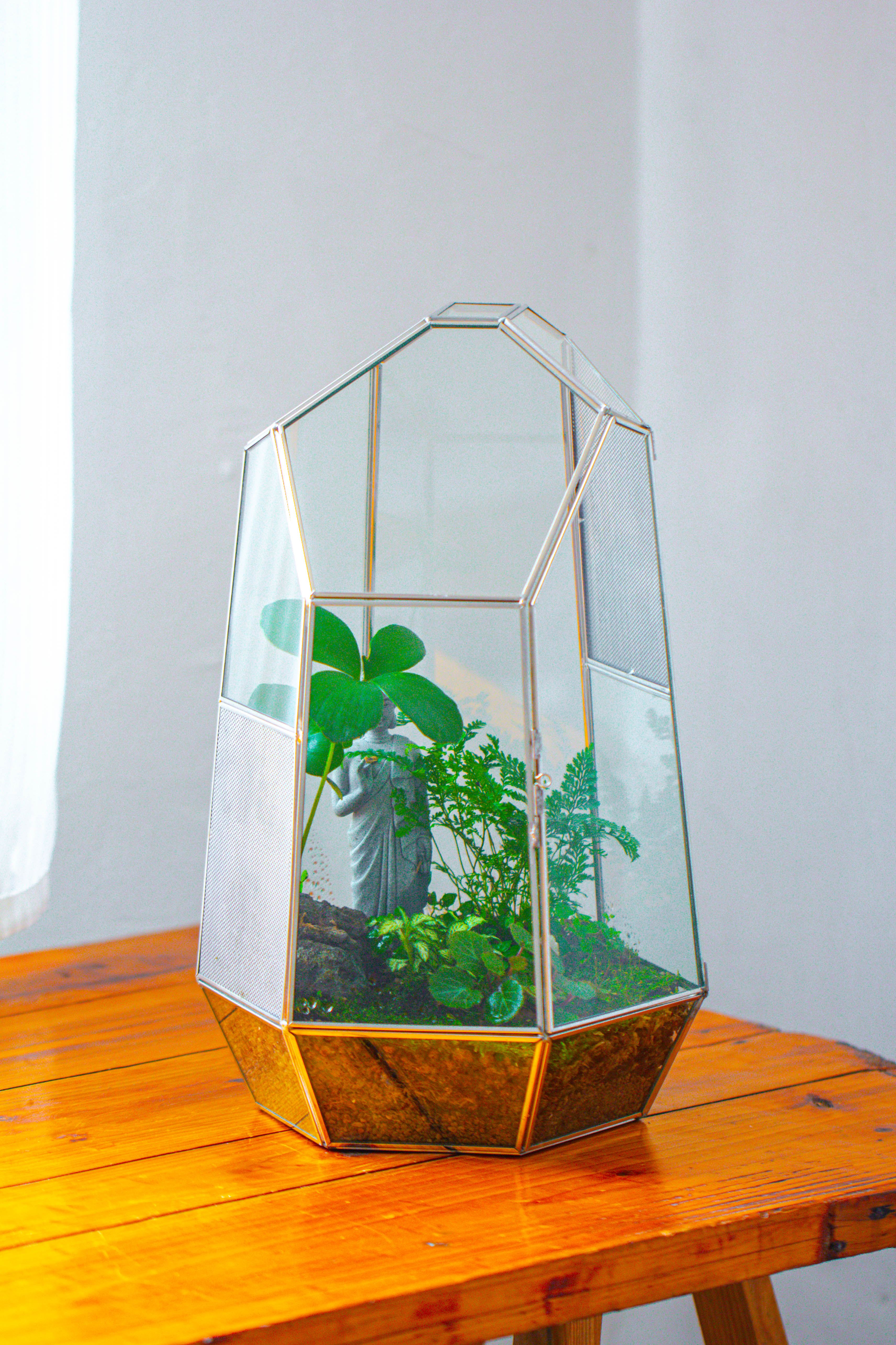 16.1" Large Irregular Geometric Glass Terrarium, Close,  vented Silver, for tropical plants, and large insects - NCYPgarden