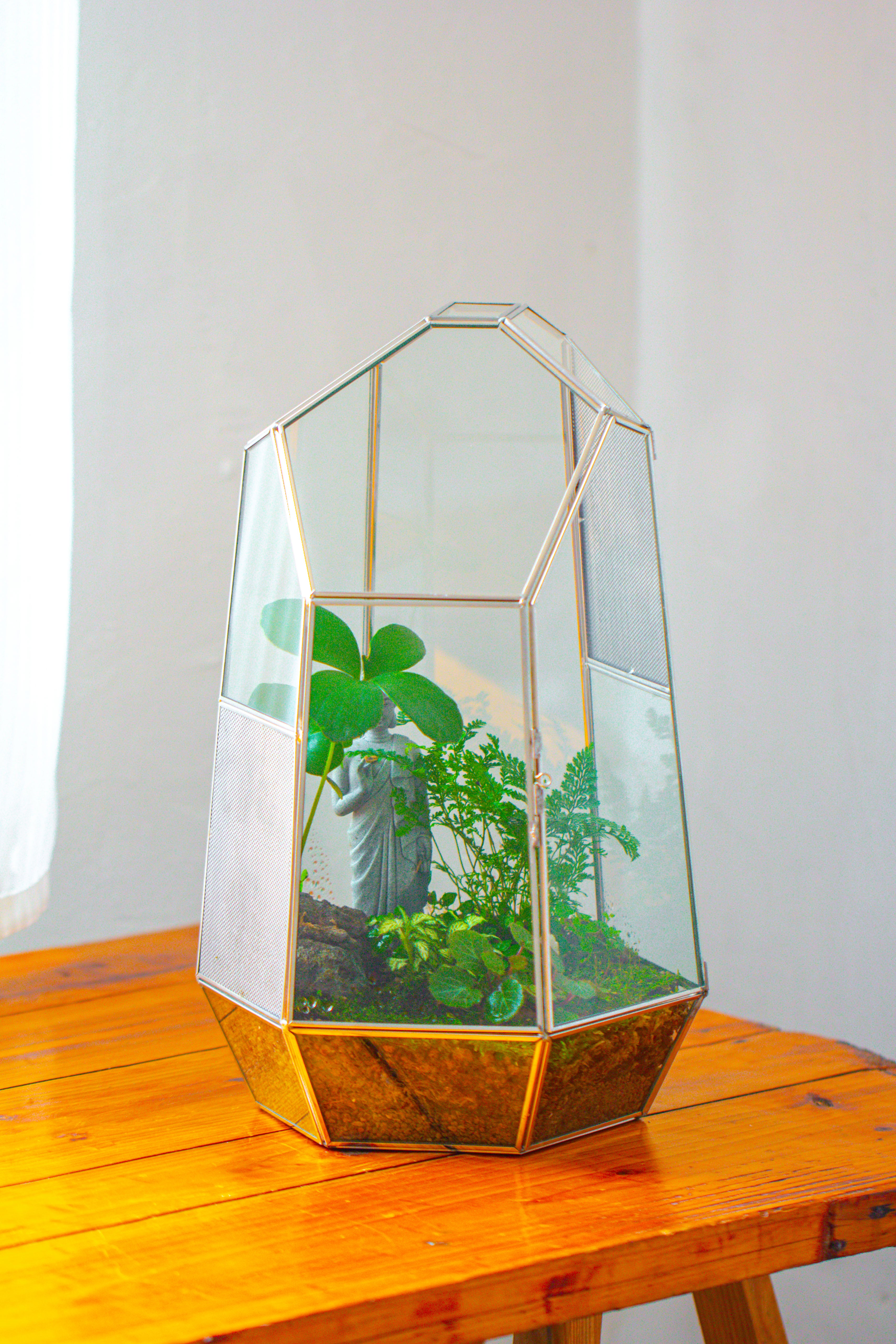 16.1" Large Irregular Geometric Glass Terrarium, Close,  vented Silver, for tropical plants, and large insects - NCYPgarden