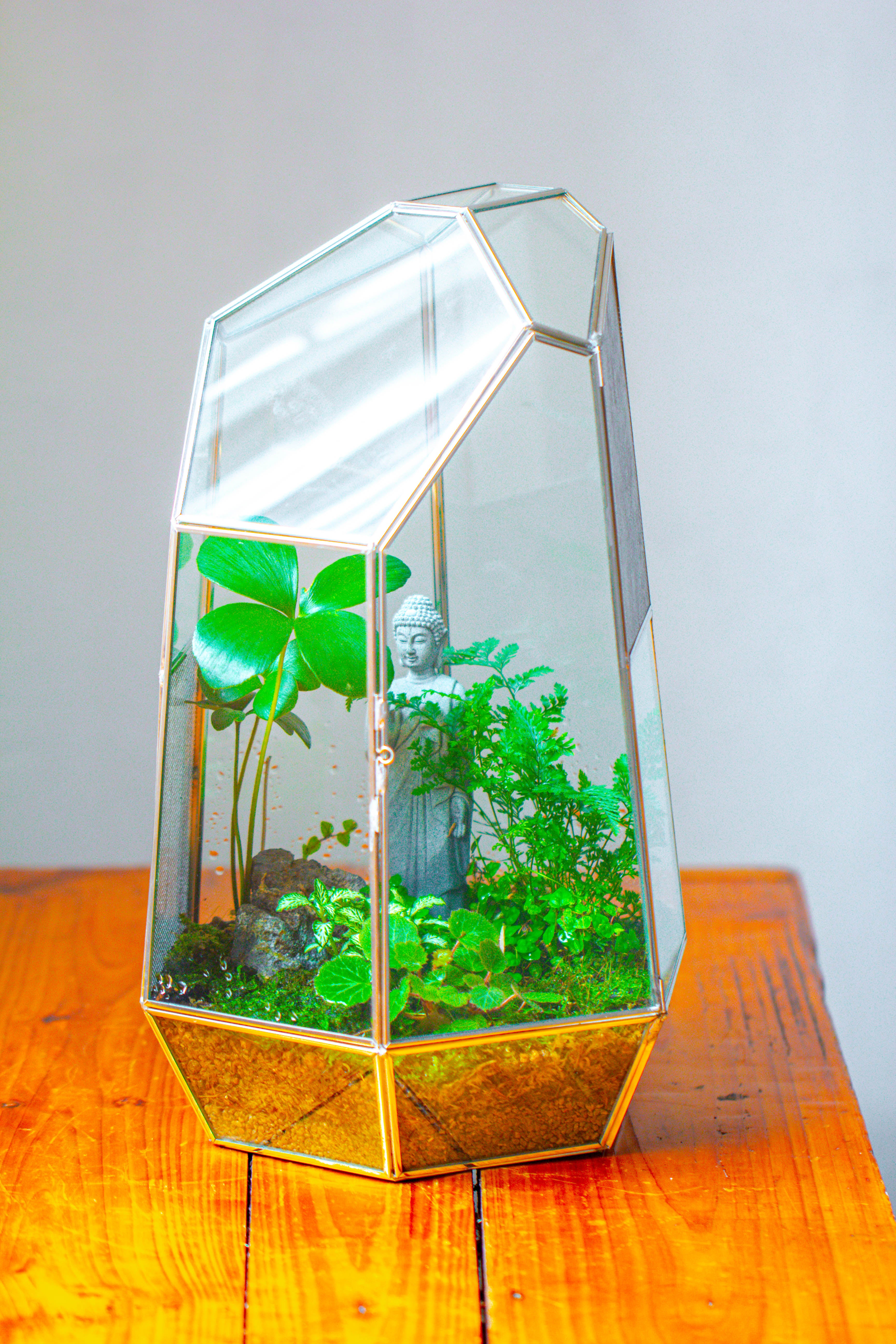 16.1" Large Irregular Geometric Glass Terrarium, Close,  vented Silver, for tropical plants, and large insects - NCYPgarden