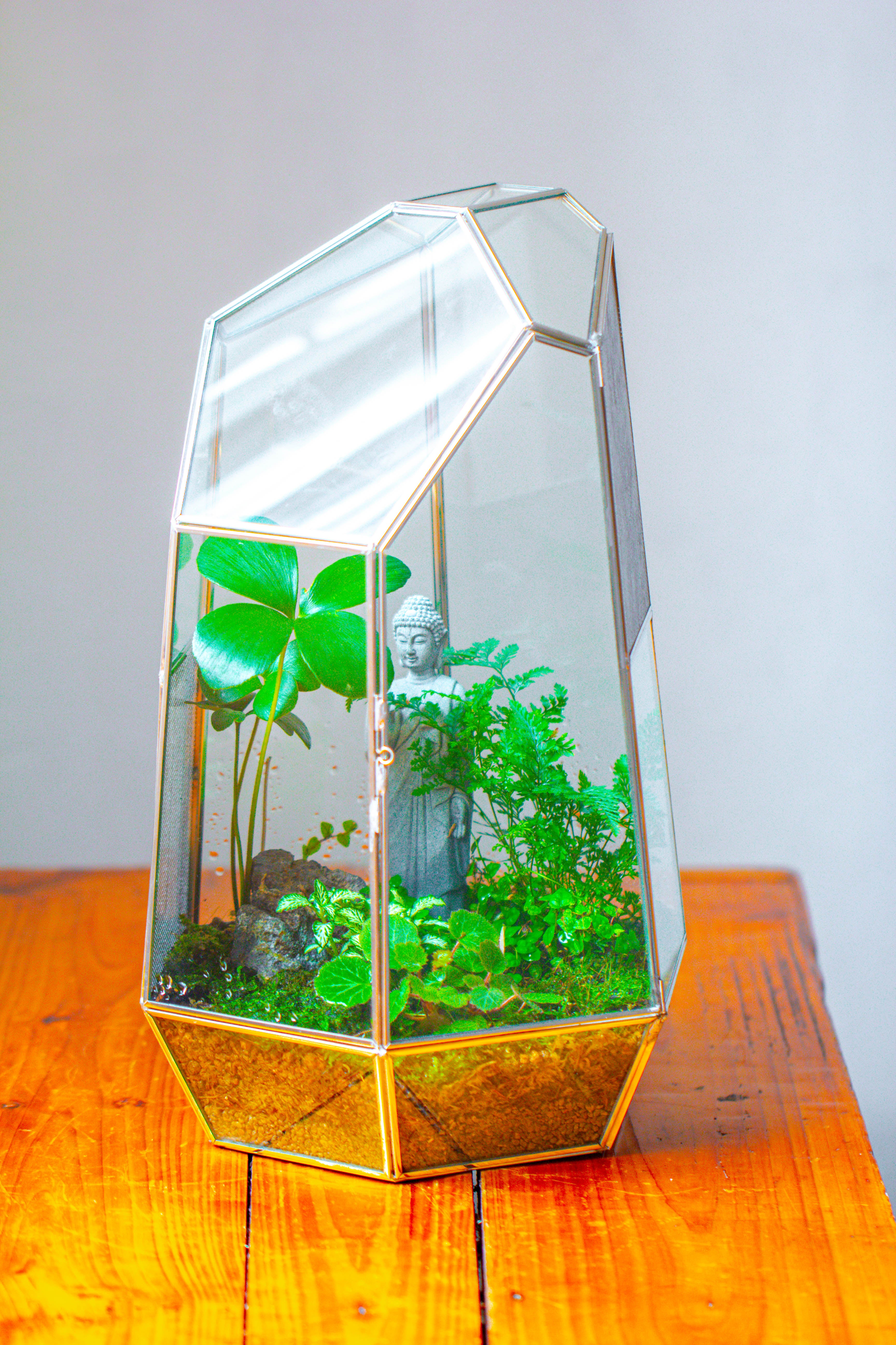 16.1" Large Irregular Geometric Glass Terrarium, Close,  vented Silver, for tropical plants, and large insects - NCYPgarden
