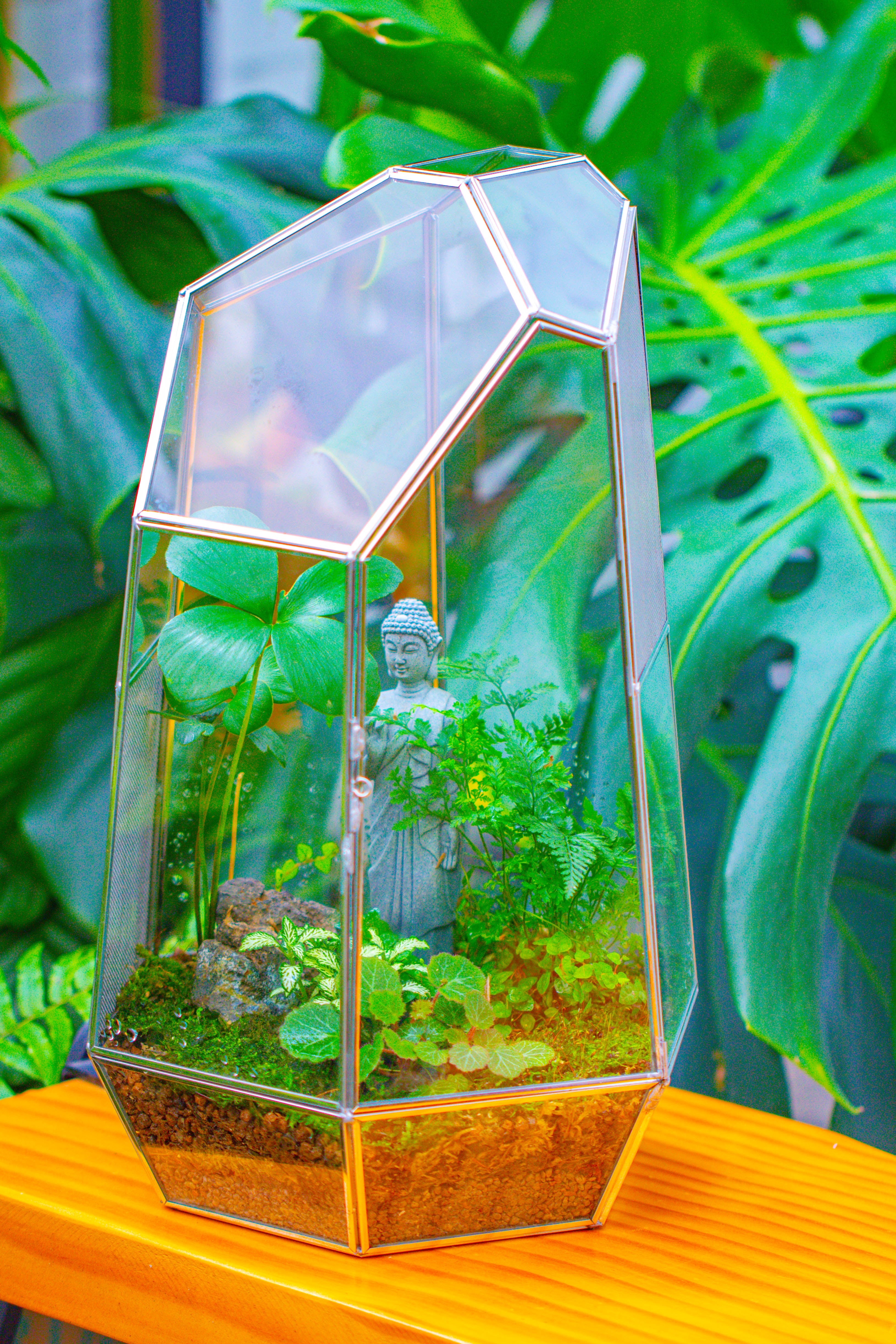 16.1" Large Irregular Geometric Glass Terrarium, Close,  vented Silver, for tropical plants, and large insects - NCYPgarden