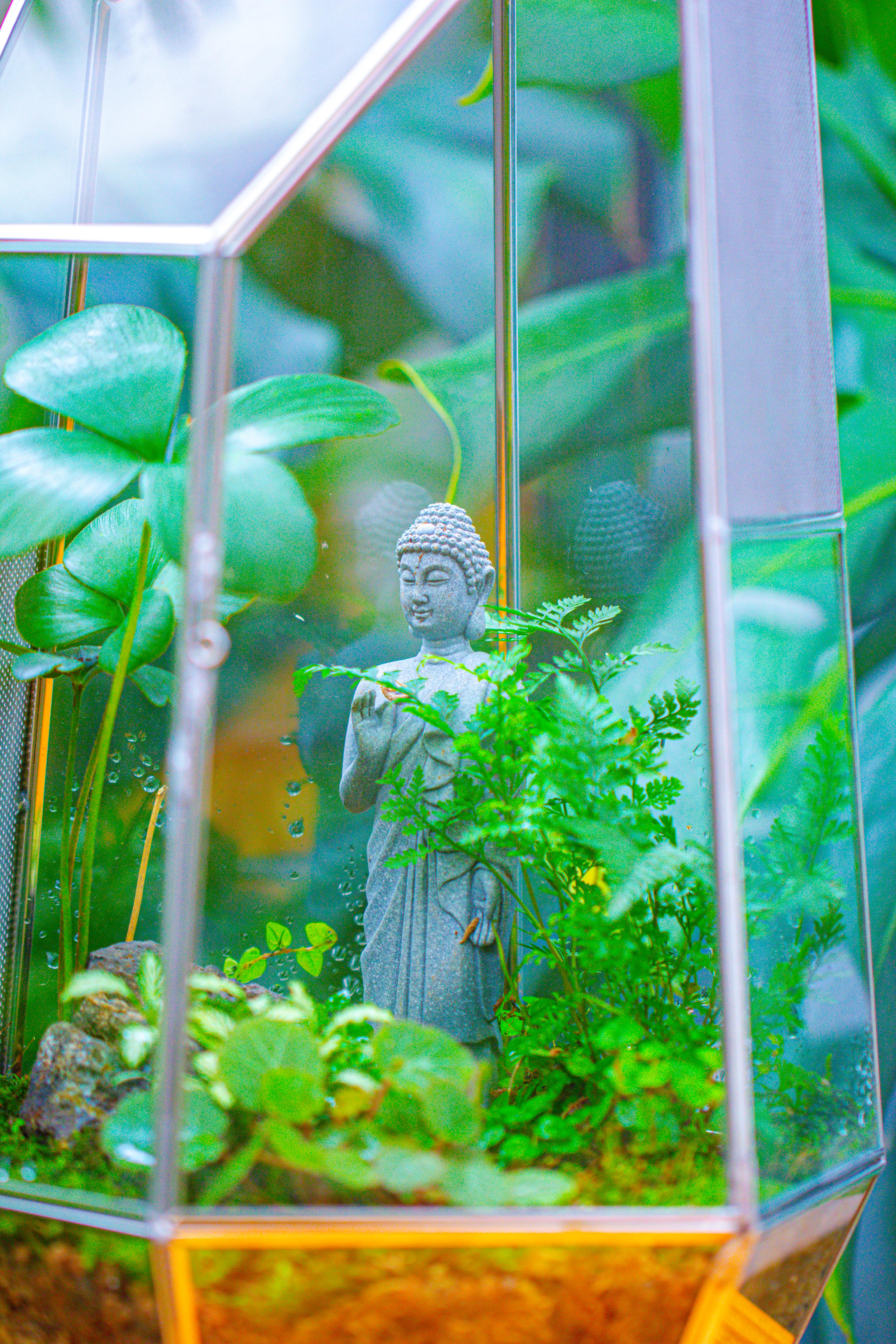 16.1" Large Irregular Geometric Glass Terrarium, Close,  vented Silver, for tropical plants, and large insects - NCYPgarden