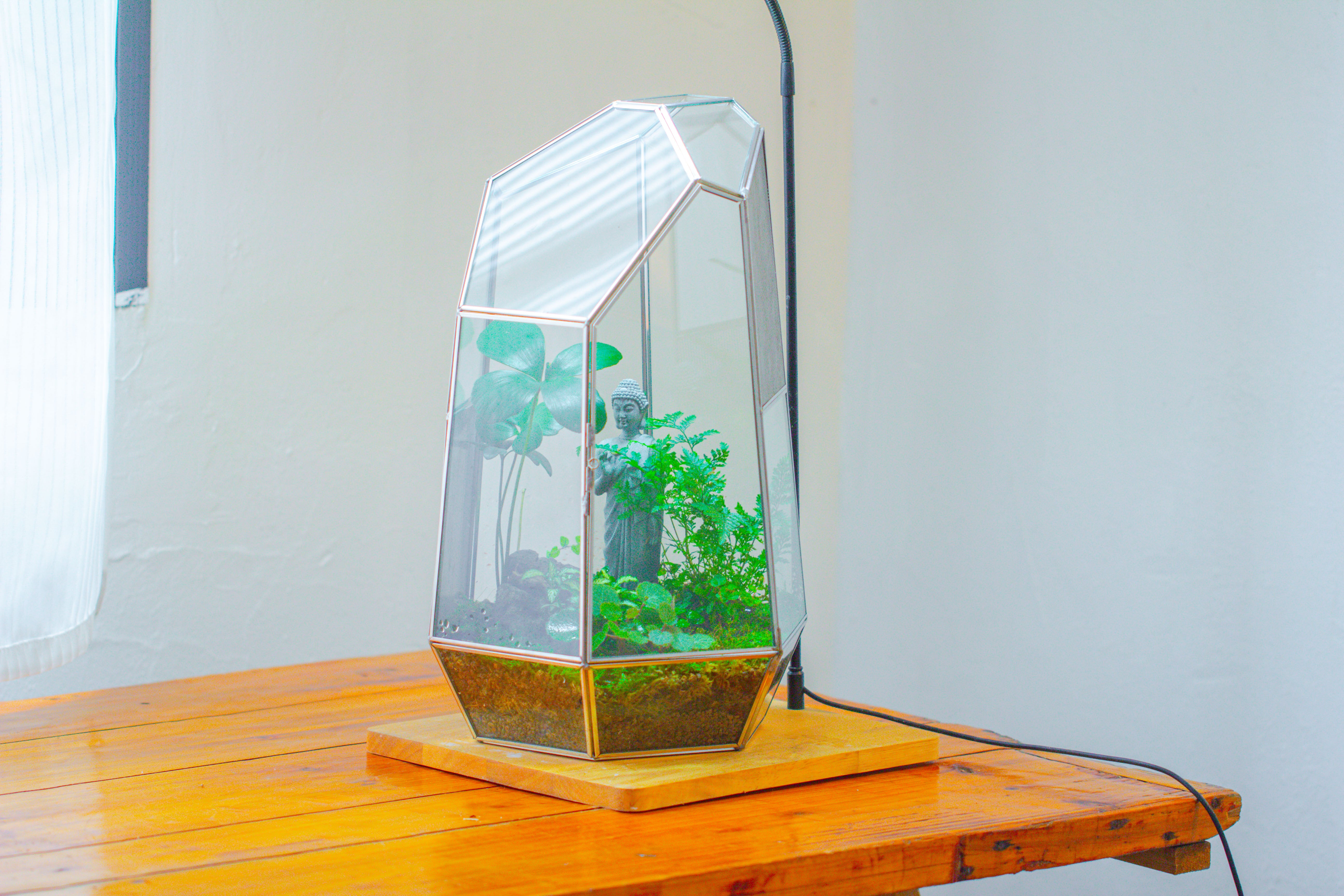 16.1" Large Irregular Geometric Glass Terrarium, Close,  vented Silver, for tropical plants, and large insects - NCYPgarden