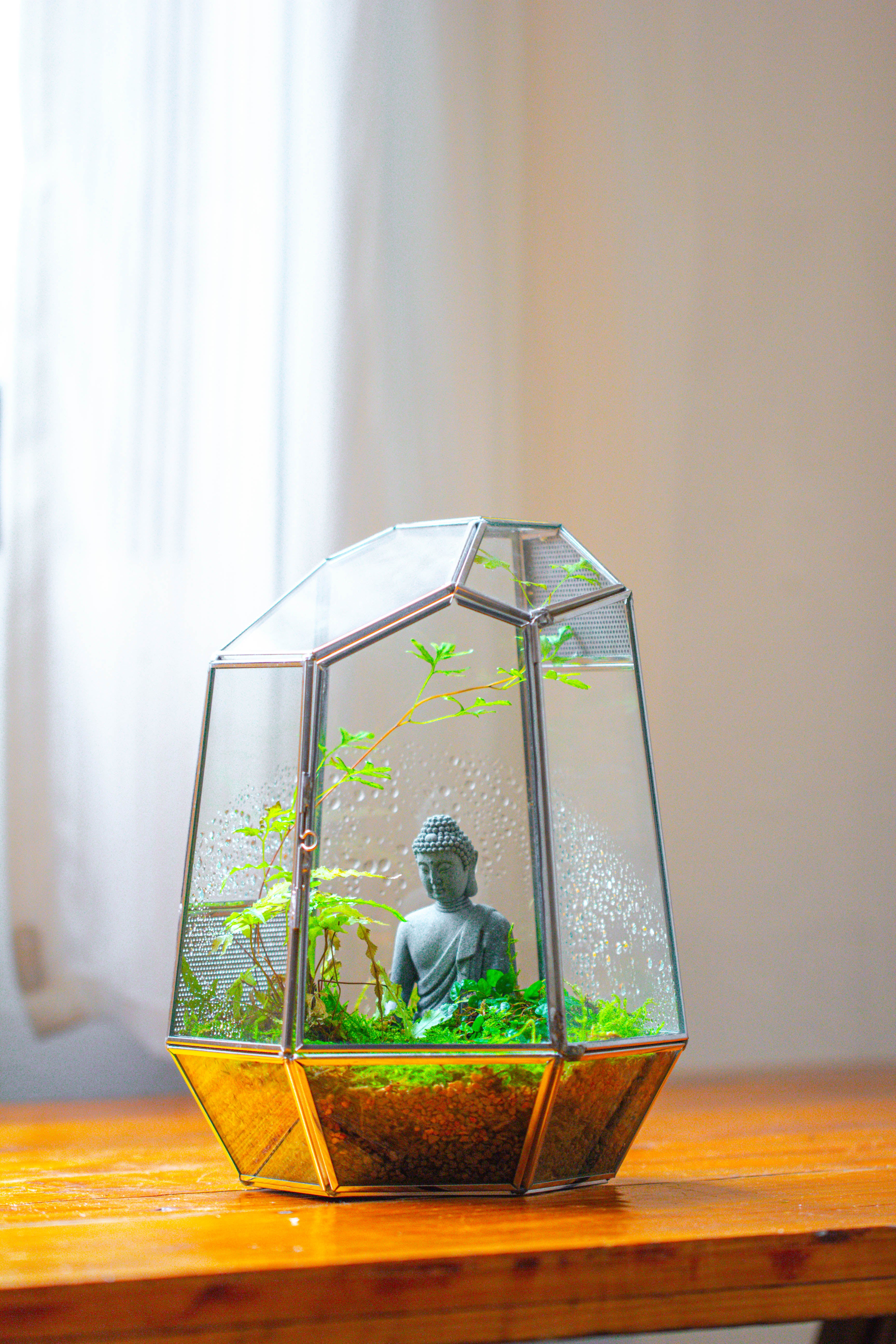 Silver 9.8" Irregular Geometric Glass Terrarium, Close, well vented, for tropical plants, and insects - NCYPgarden