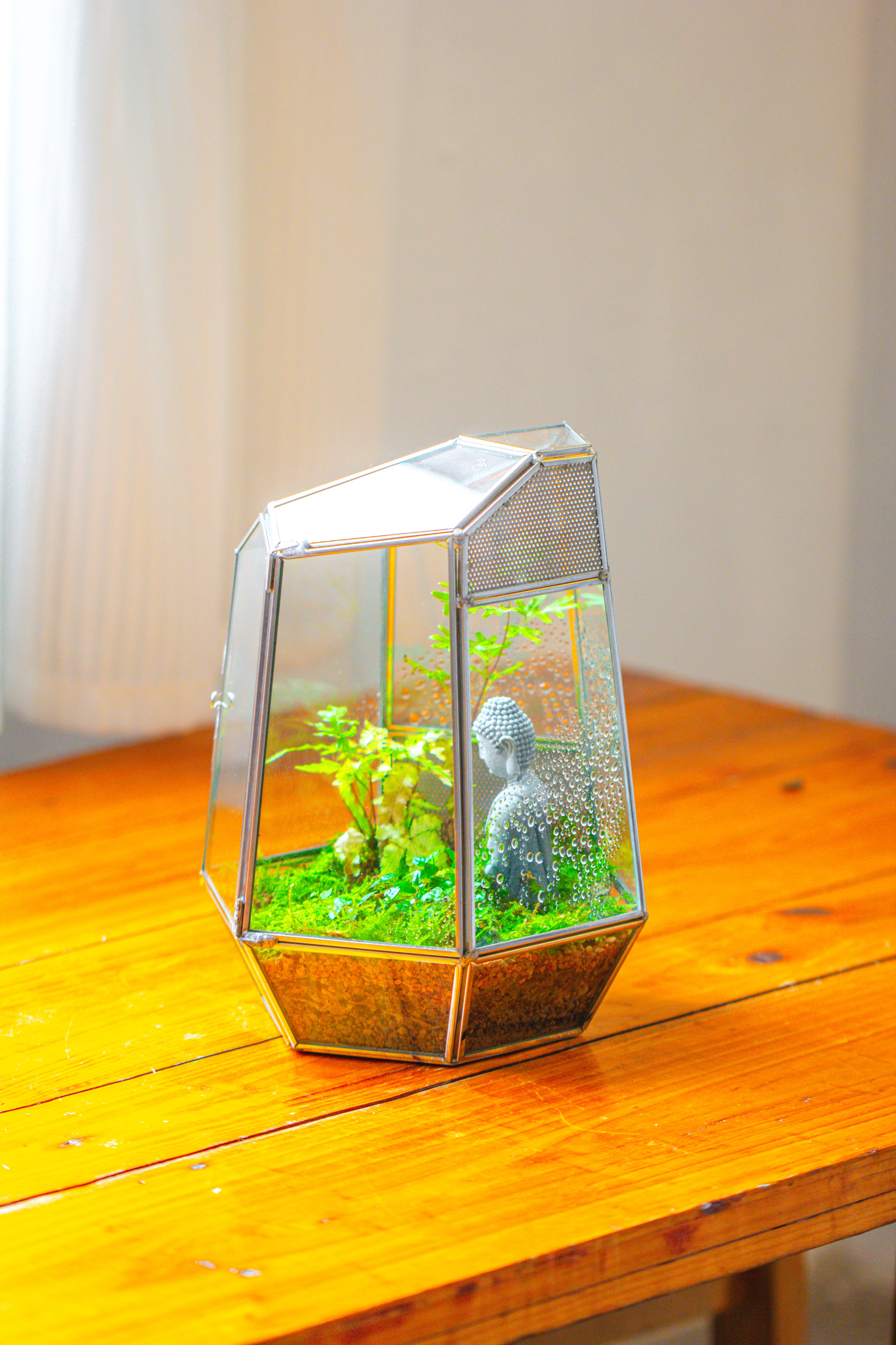 Silver 9.8" Irregular Geometric Glass Terrarium, Close, well vented, for tropical plants, and insects - NCYPgarden