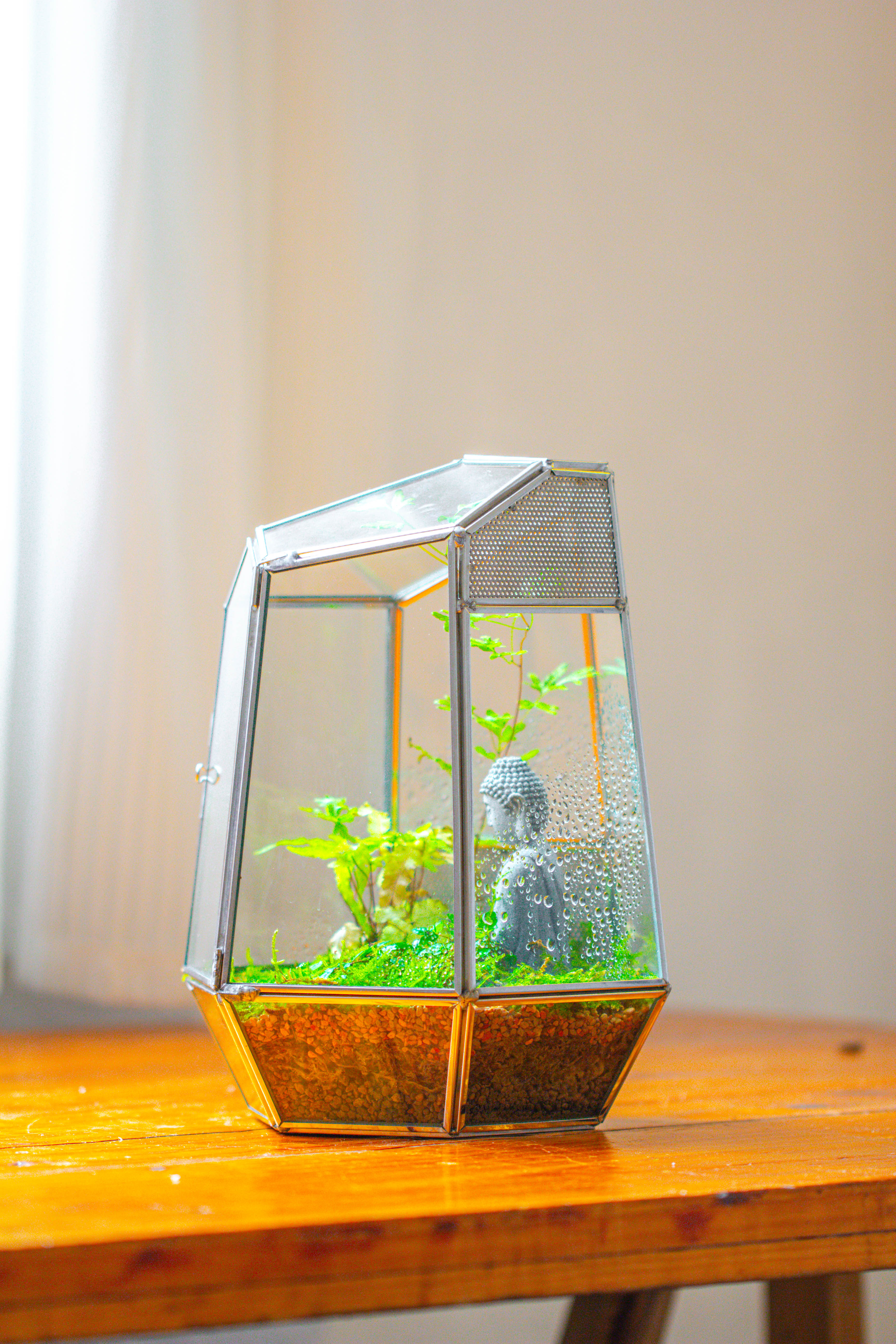 Silver 9.8" Irregular Geometric Glass Terrarium, Close, well vented, for tropical plants, and insects - NCYPgarden