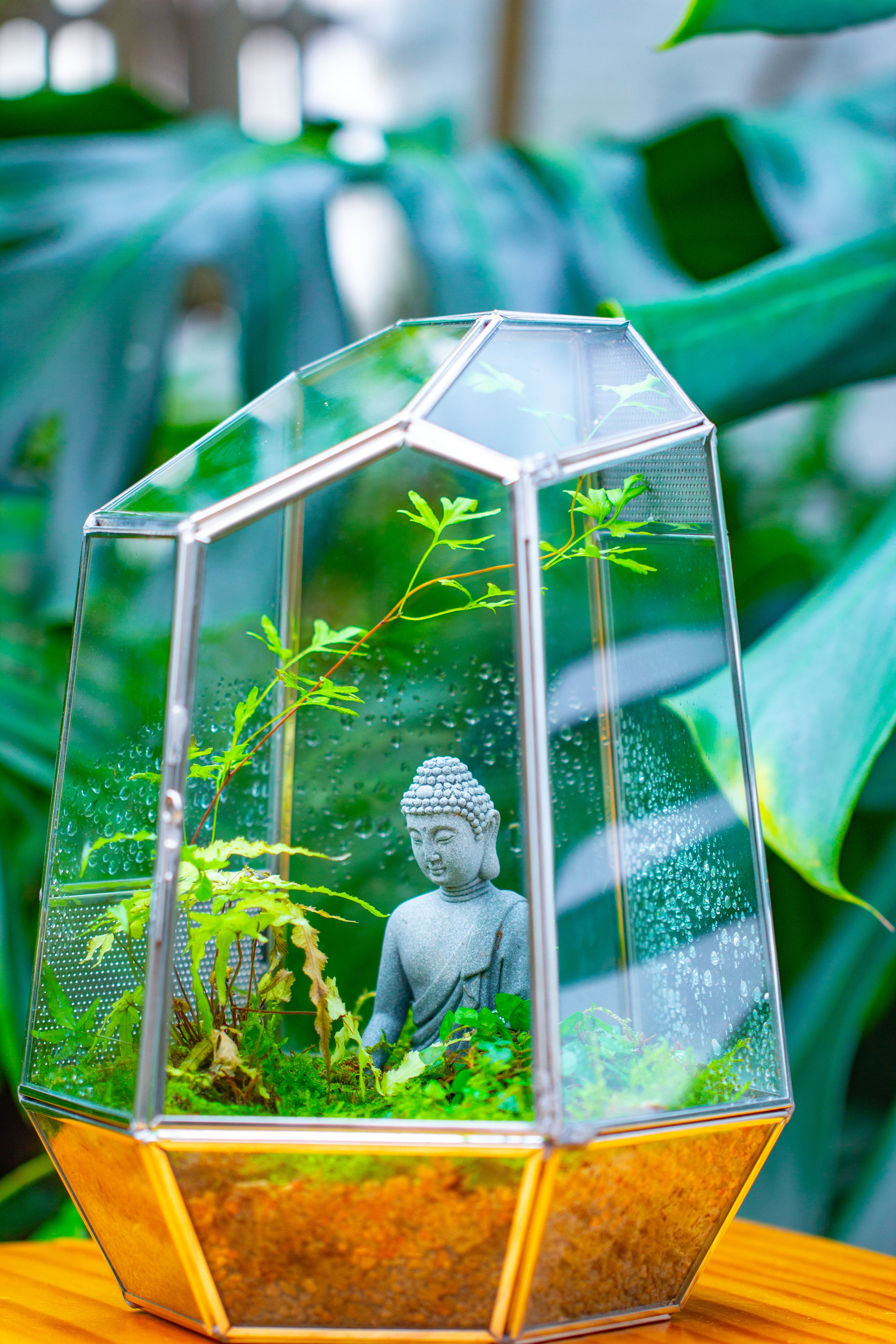 Silver 9.8" Irregular Geometric Glass Terrarium, Close, well vented, for tropical plants, and insects - NCYPgarden